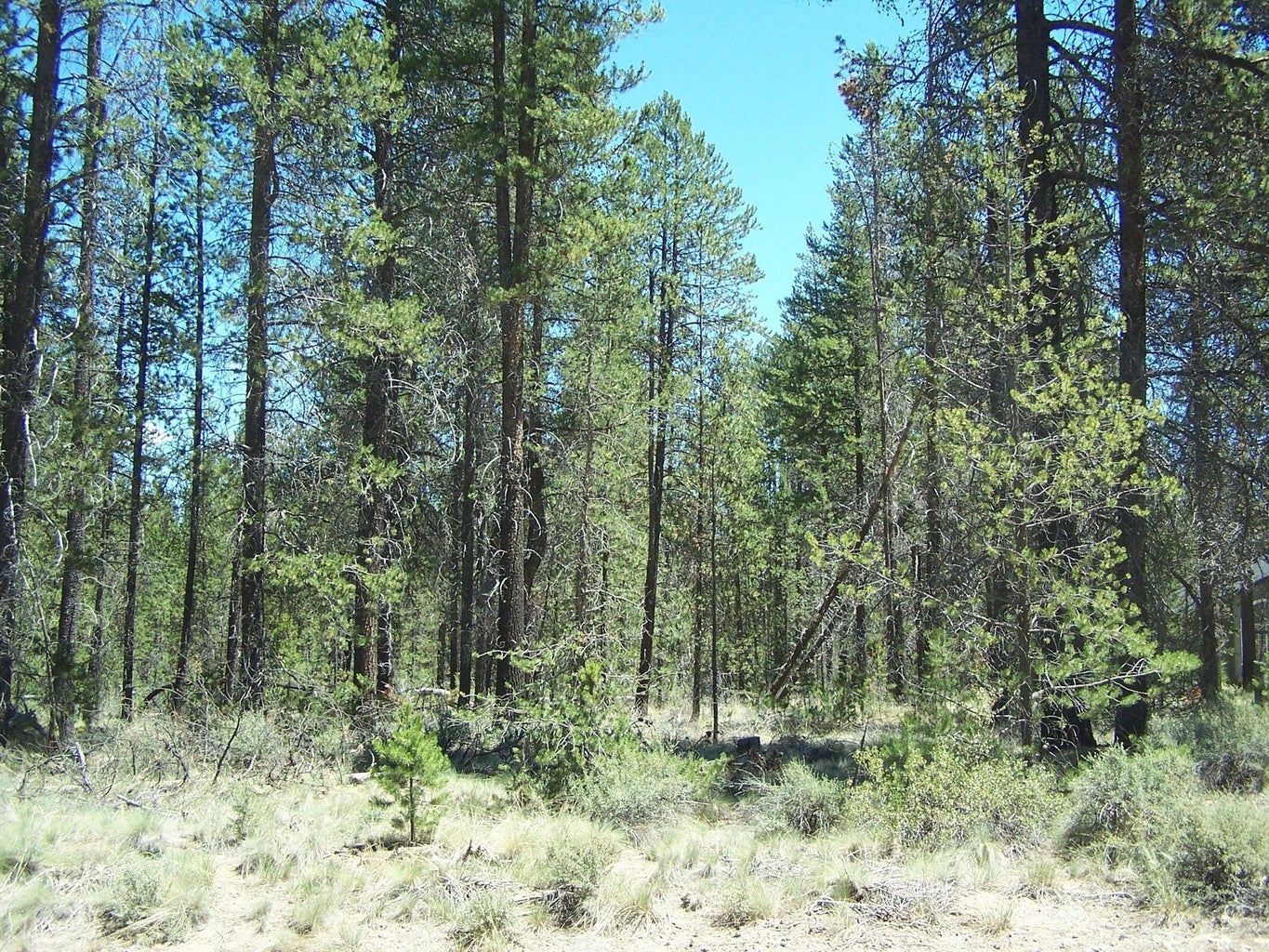 Photo of Skidgel Road 6 of 7