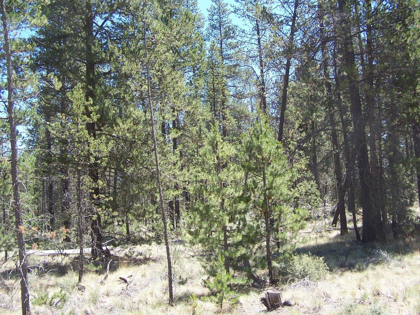 Photo of Skidgel Road 7 of 7