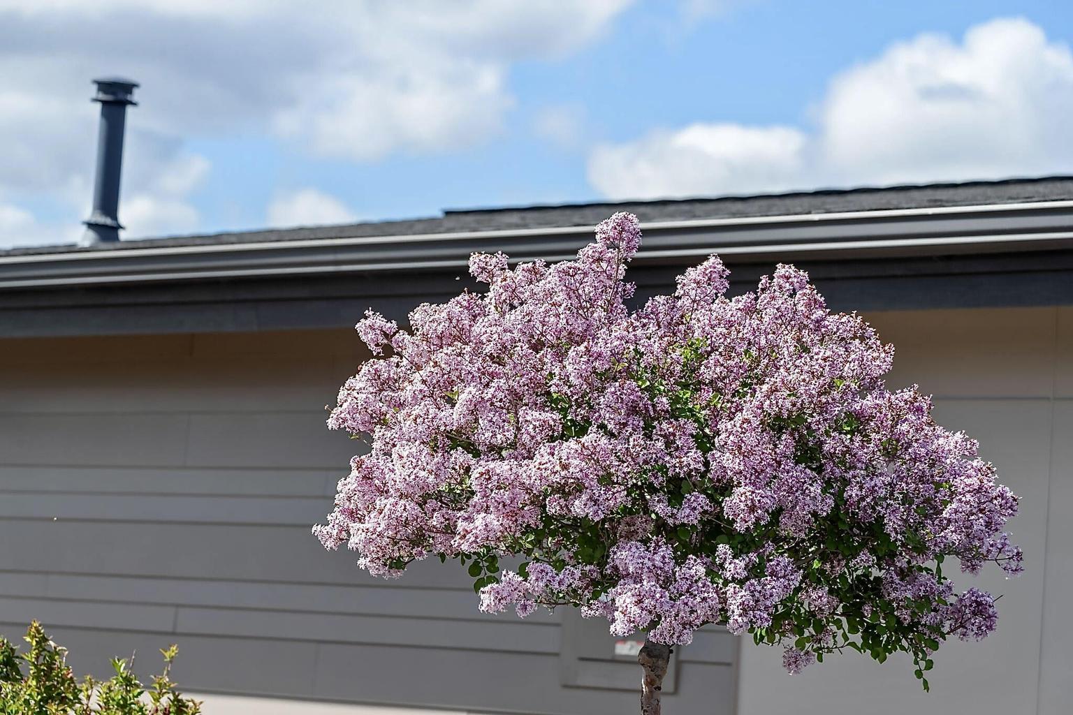 Photo of 454 SE Manzanita Drive 29 of 65