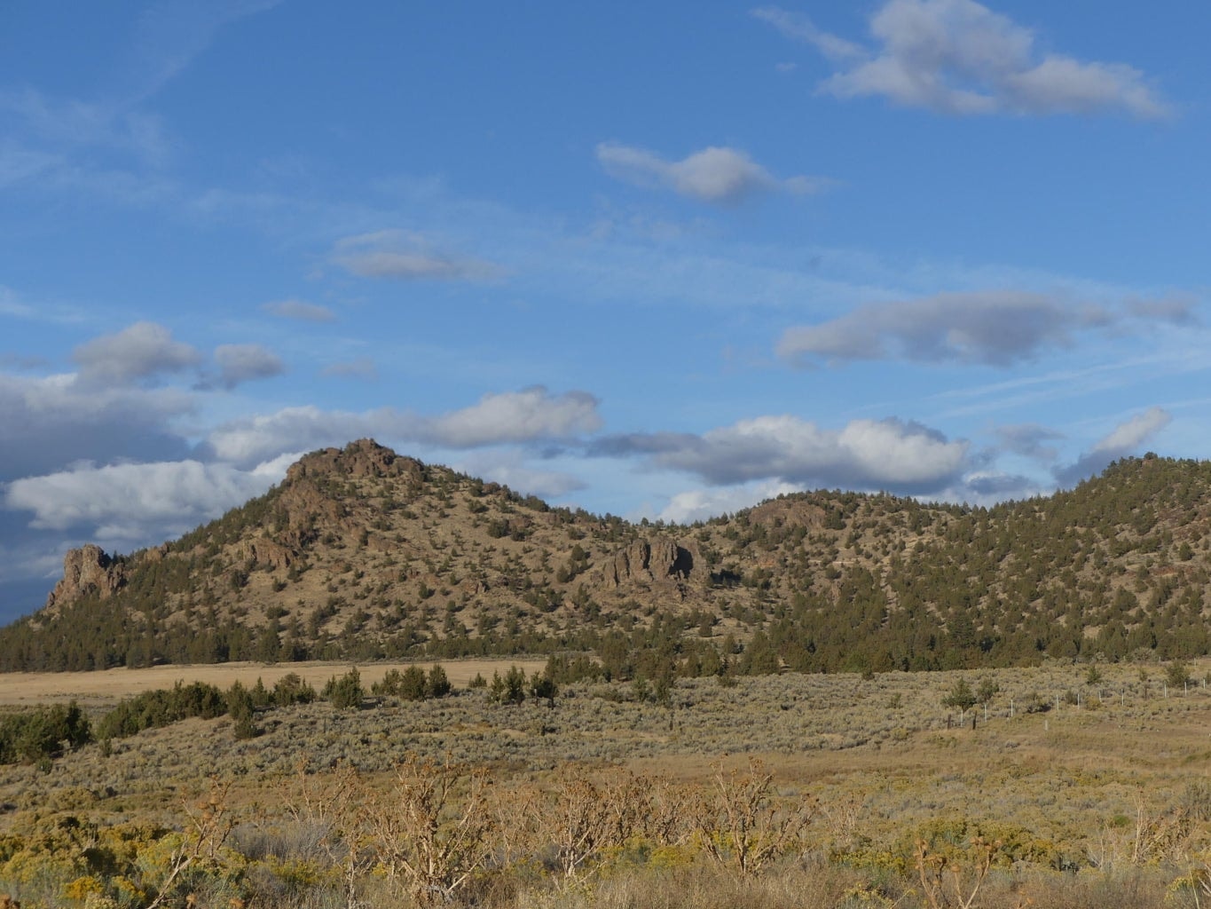 Community photo - Barnes Butte public walking trail area
