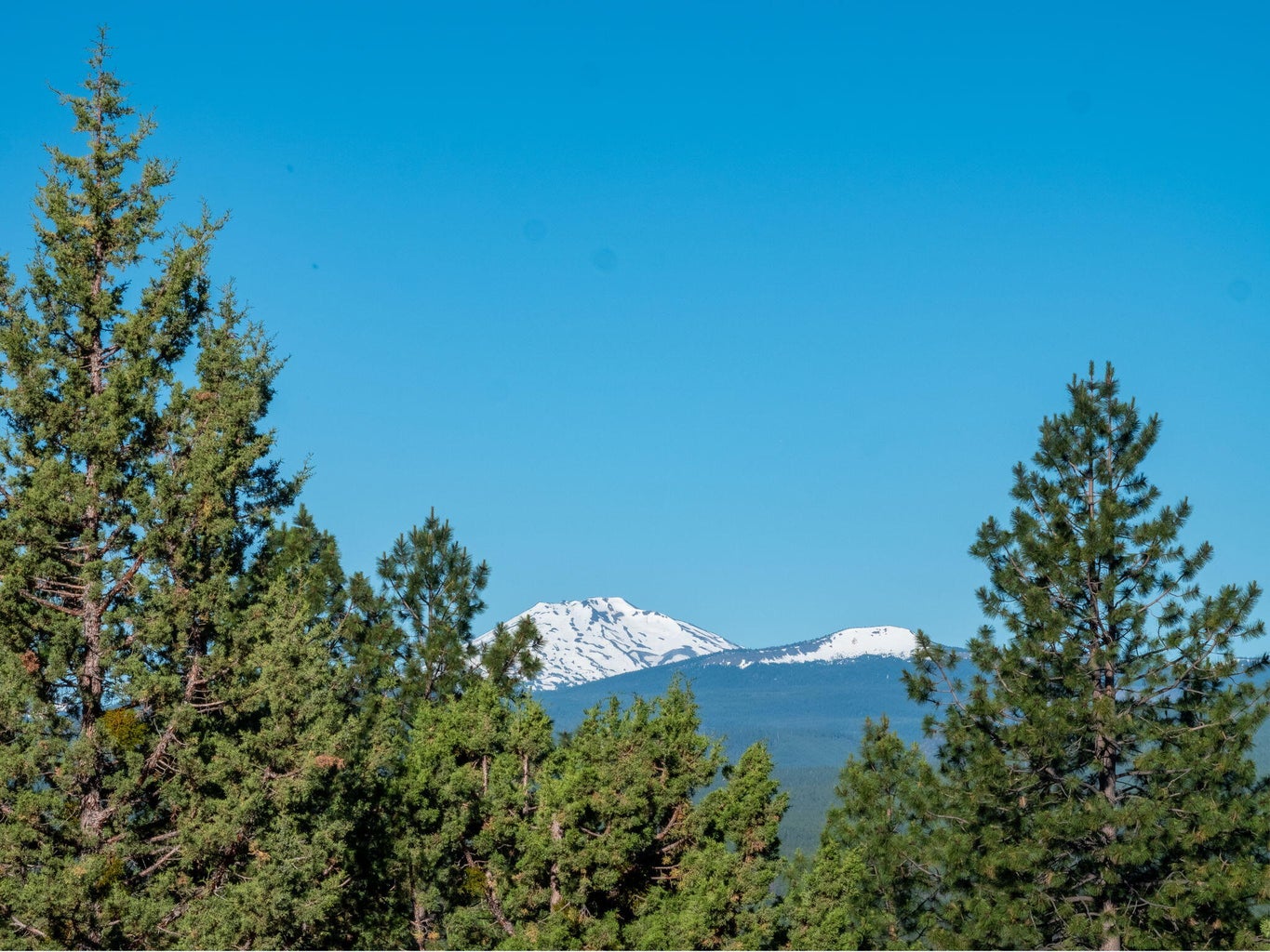 Photo of 2889 NW Starview Drive 58 of 69