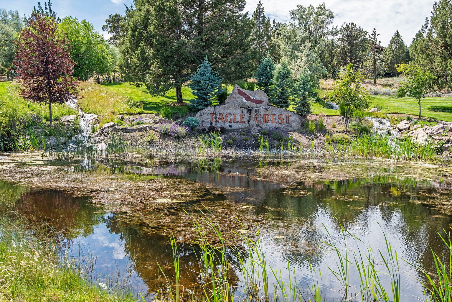 Photo of 8855 Canyon Wren Court 29 of 32