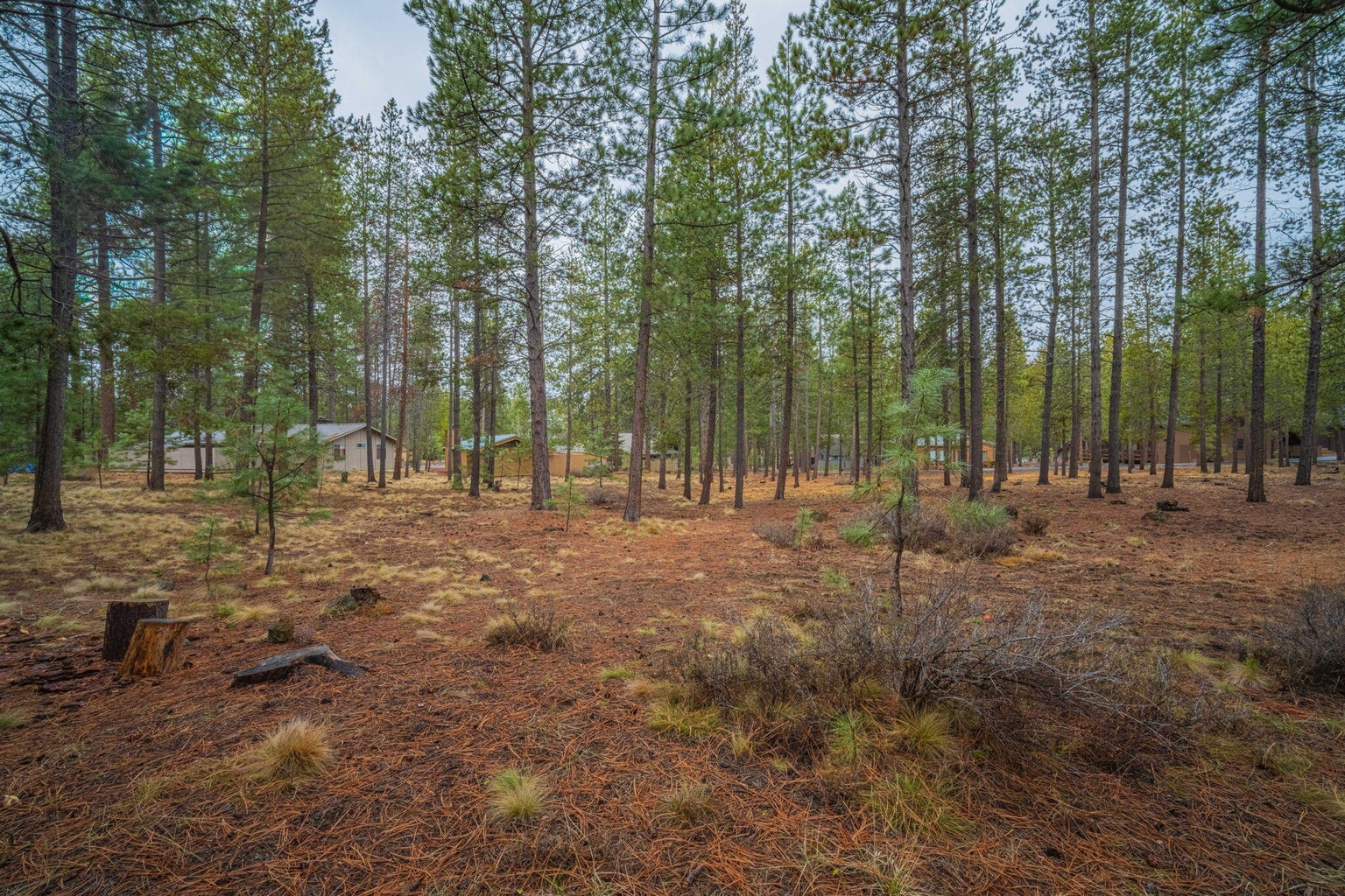 Photo of 57055 Deer Lane 27 of 27