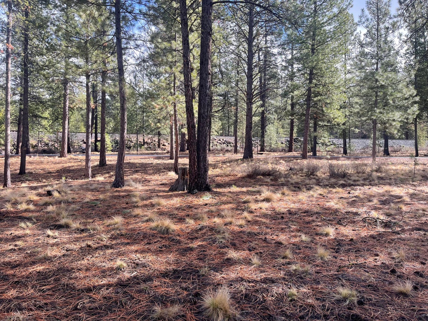 Photo of 57048 Deer Lane 15 of 15