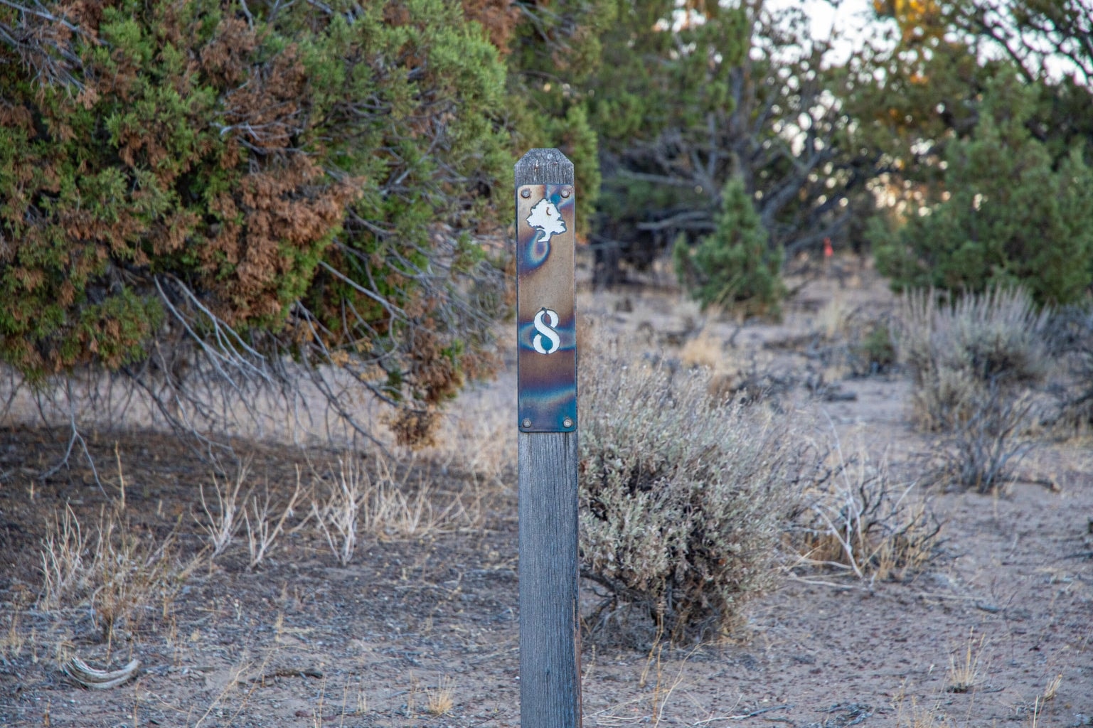 Photo of SW Vaqueros Way 2 of 38