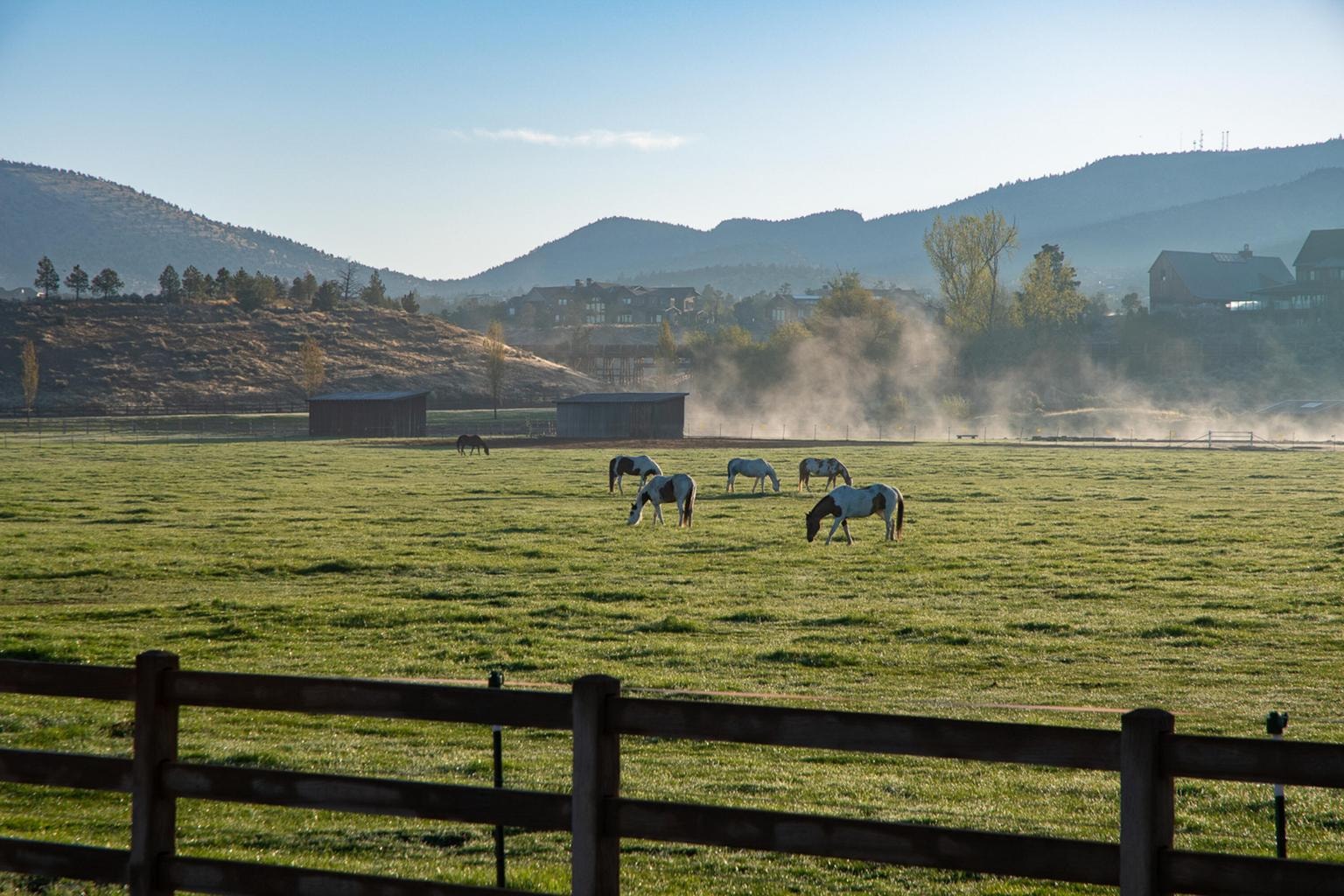 Entrance Pasture