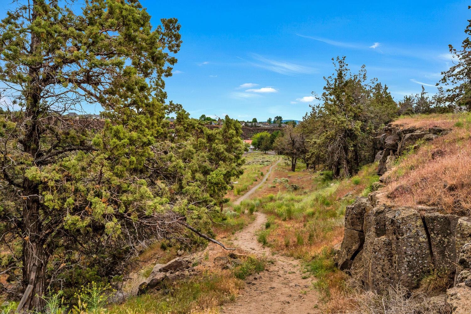 Photo of 1443 SW Canyon Drive 53 of 62