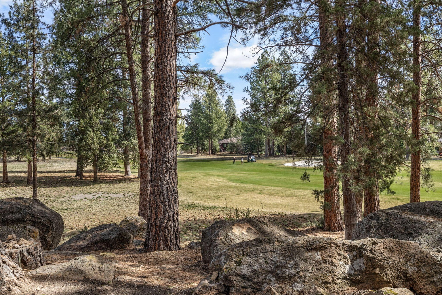Filtered golf course views through mature pines, offering a natural sense of privacy and connection to the surrounding landscape.