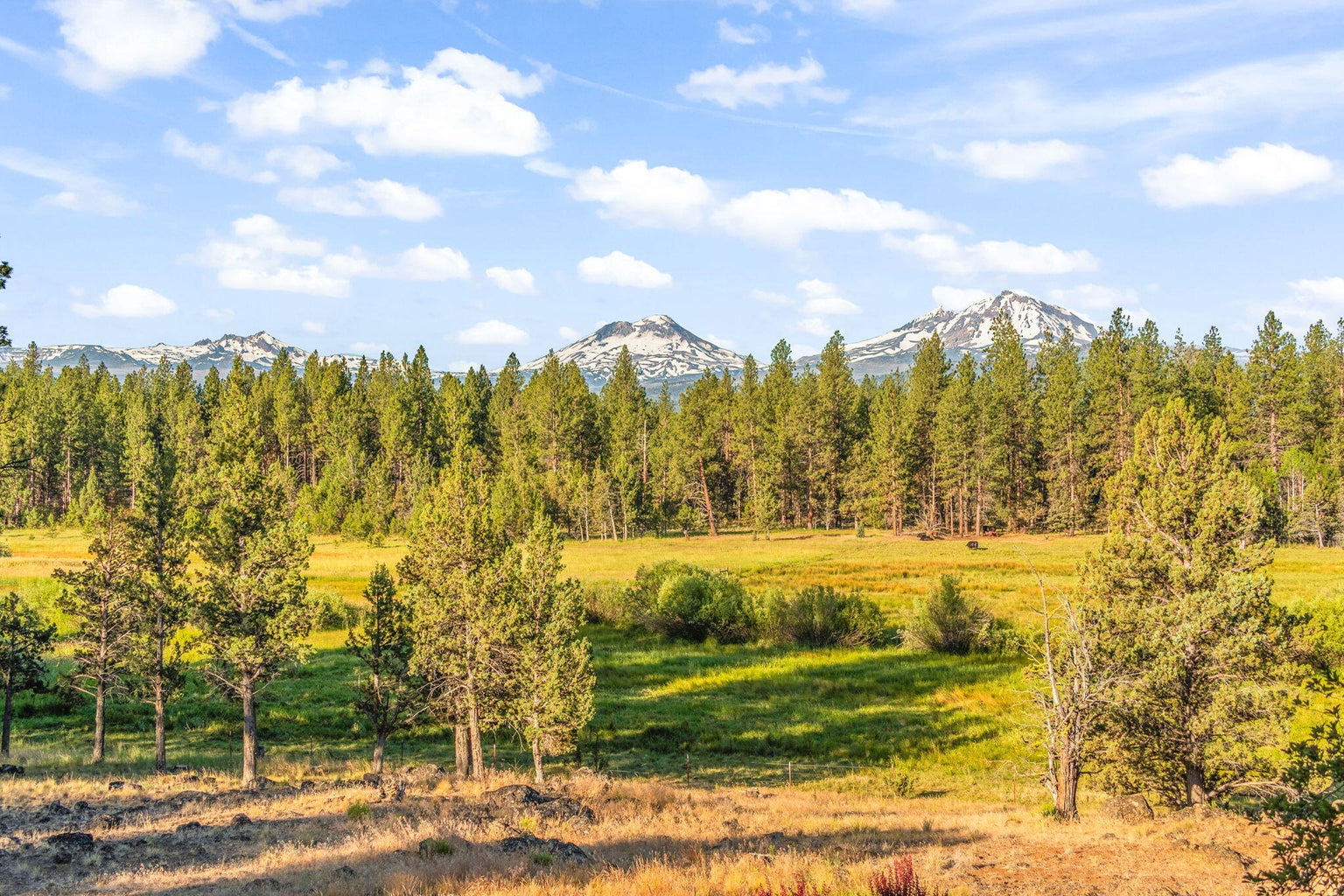 Photo of 69485 Deer Ridge Road 61 of 94
