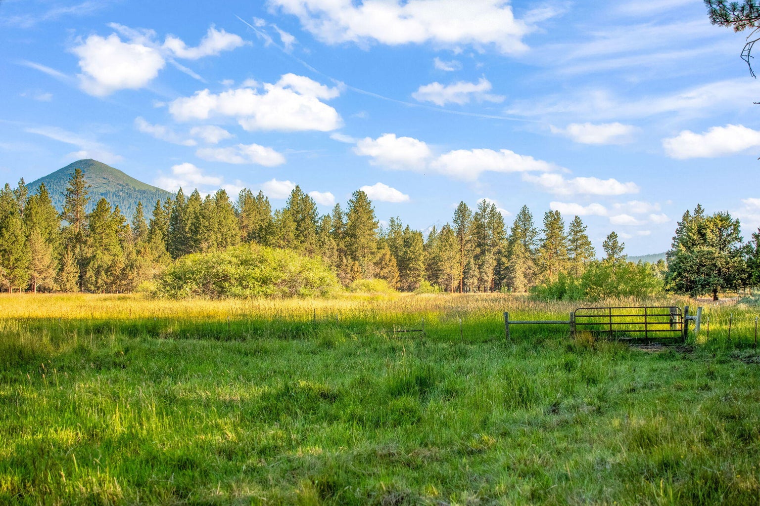 Photo of 69485 Deer Ridge Road 73 of 94