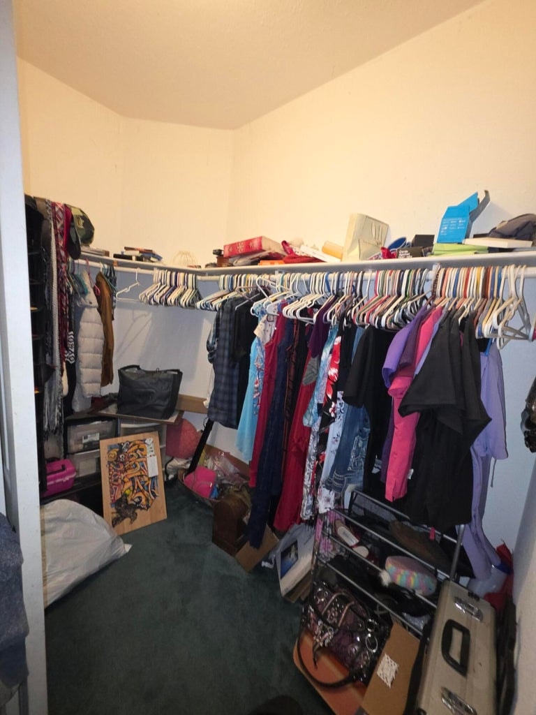 Primary closet