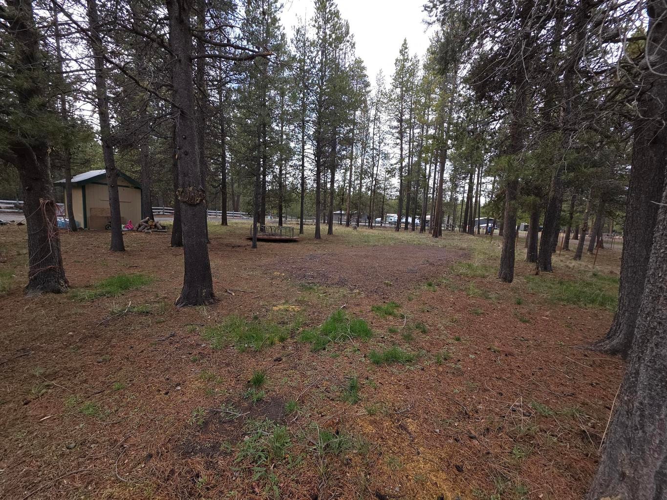 Front yard