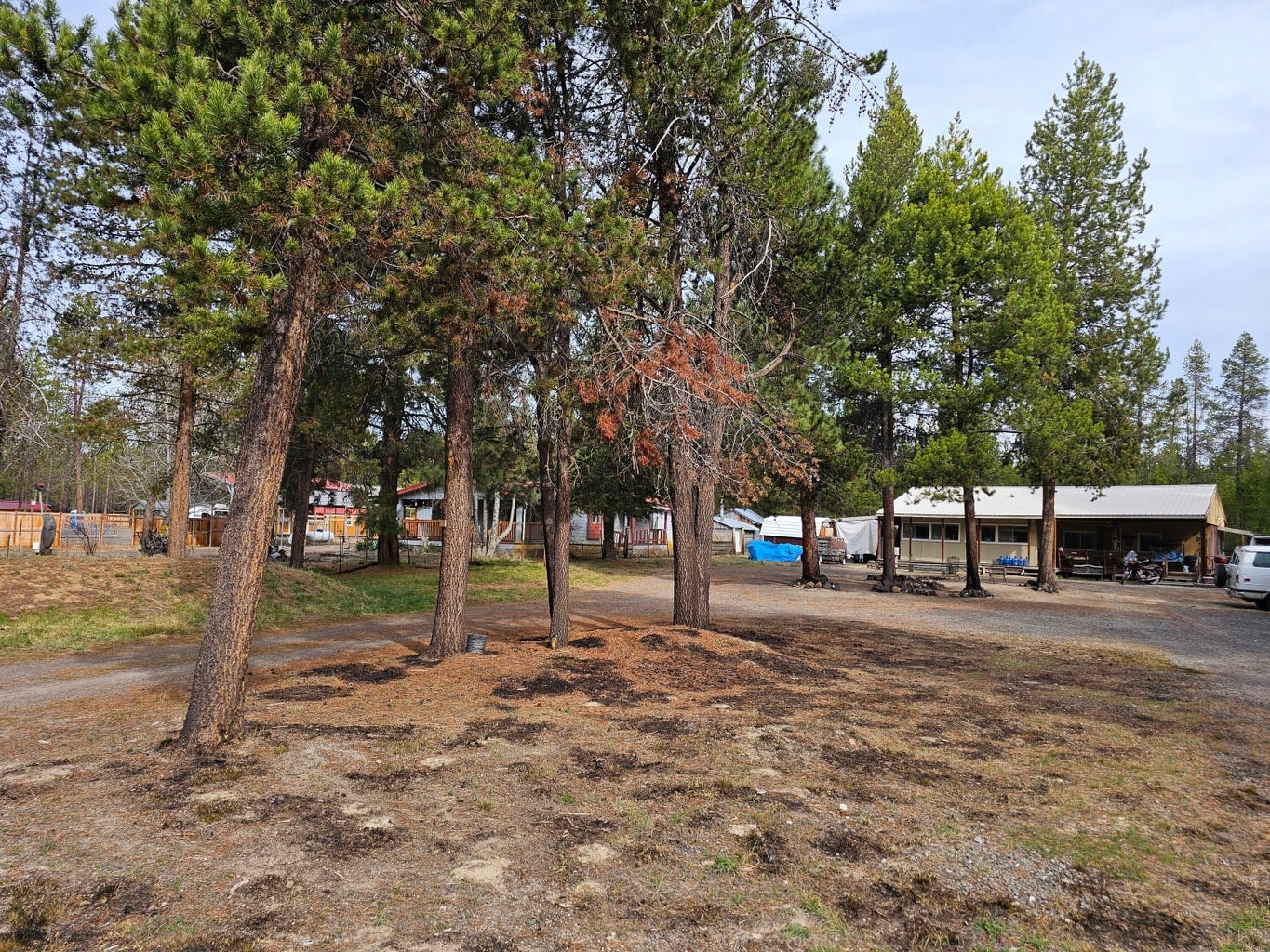 Photo of 15696 Rim Drive 1 of 10