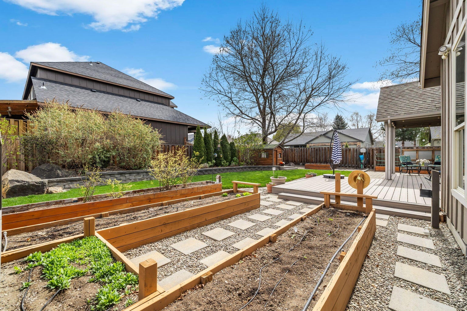 Raised garden beds with drip irrigation