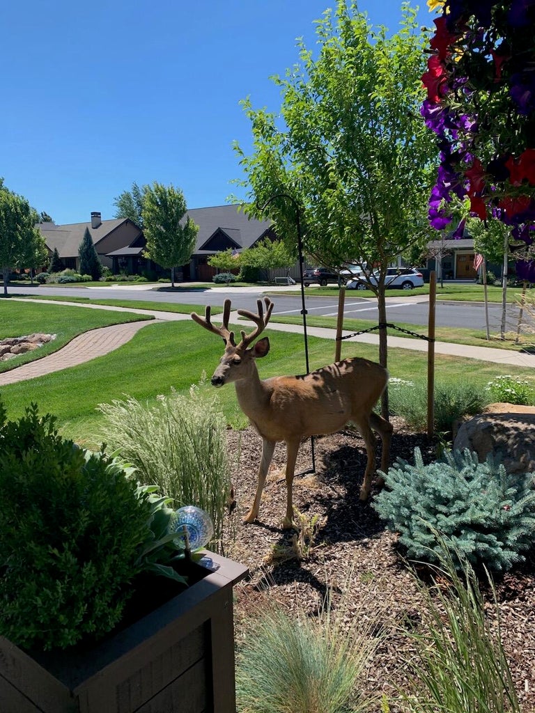 You'll love your neighbors!