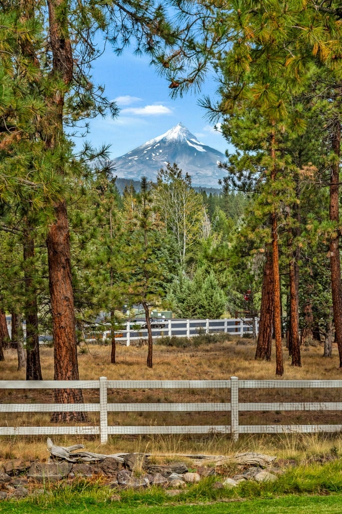 Photo of 69550 Deer Ridge Road 3 of 69