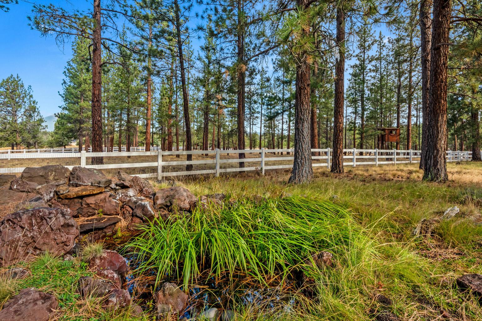 Photo of 69550 Deer Ridge Road 47 of 69