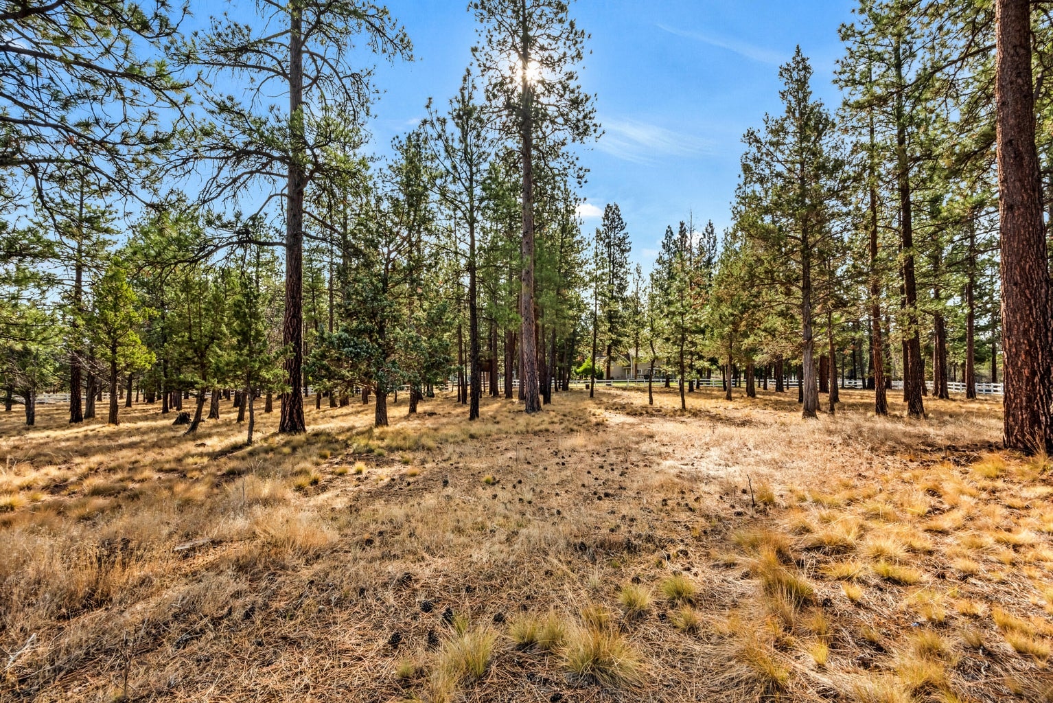 Photo of 69550 Deer Ridge Road 68 of 69