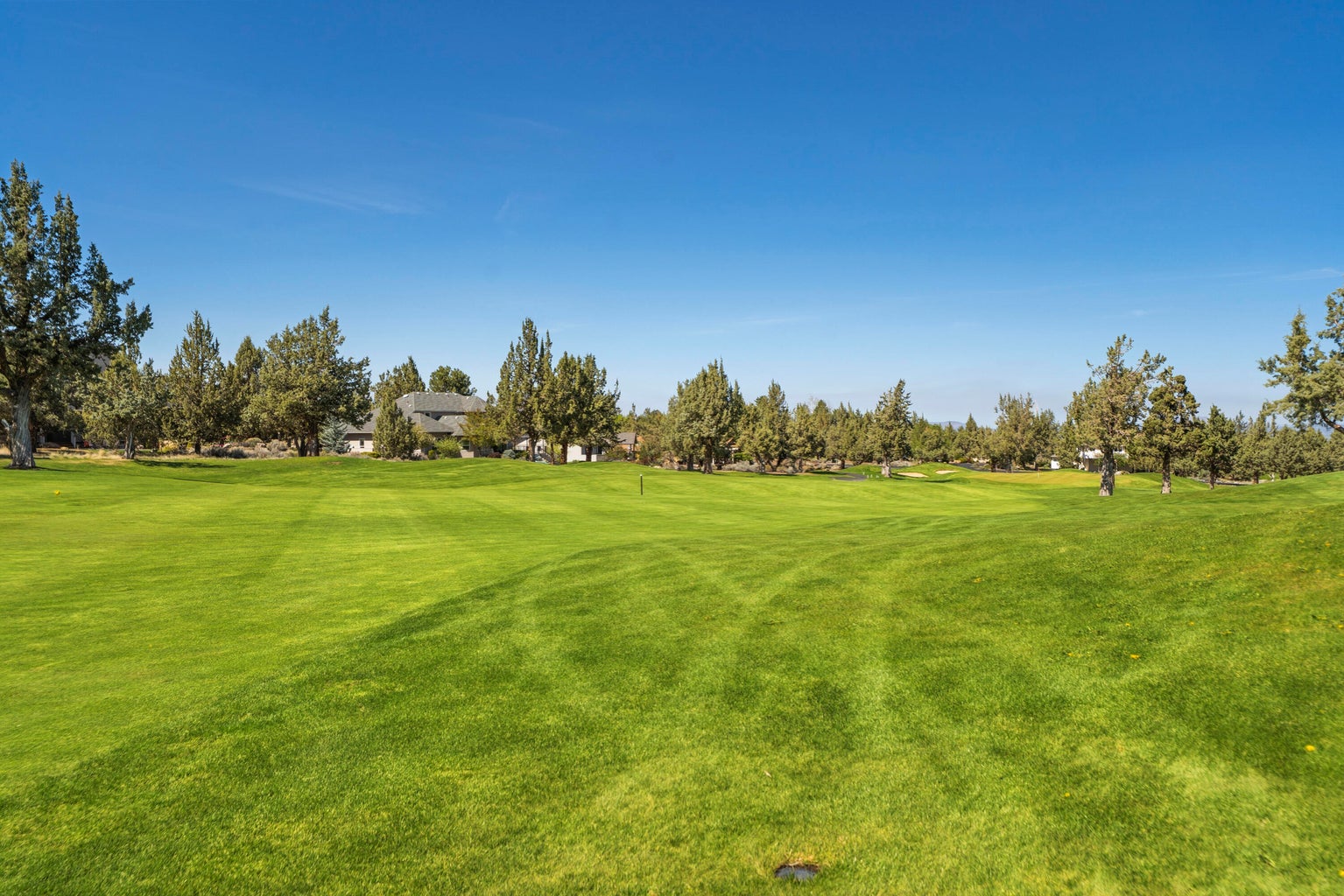 Golf Course View