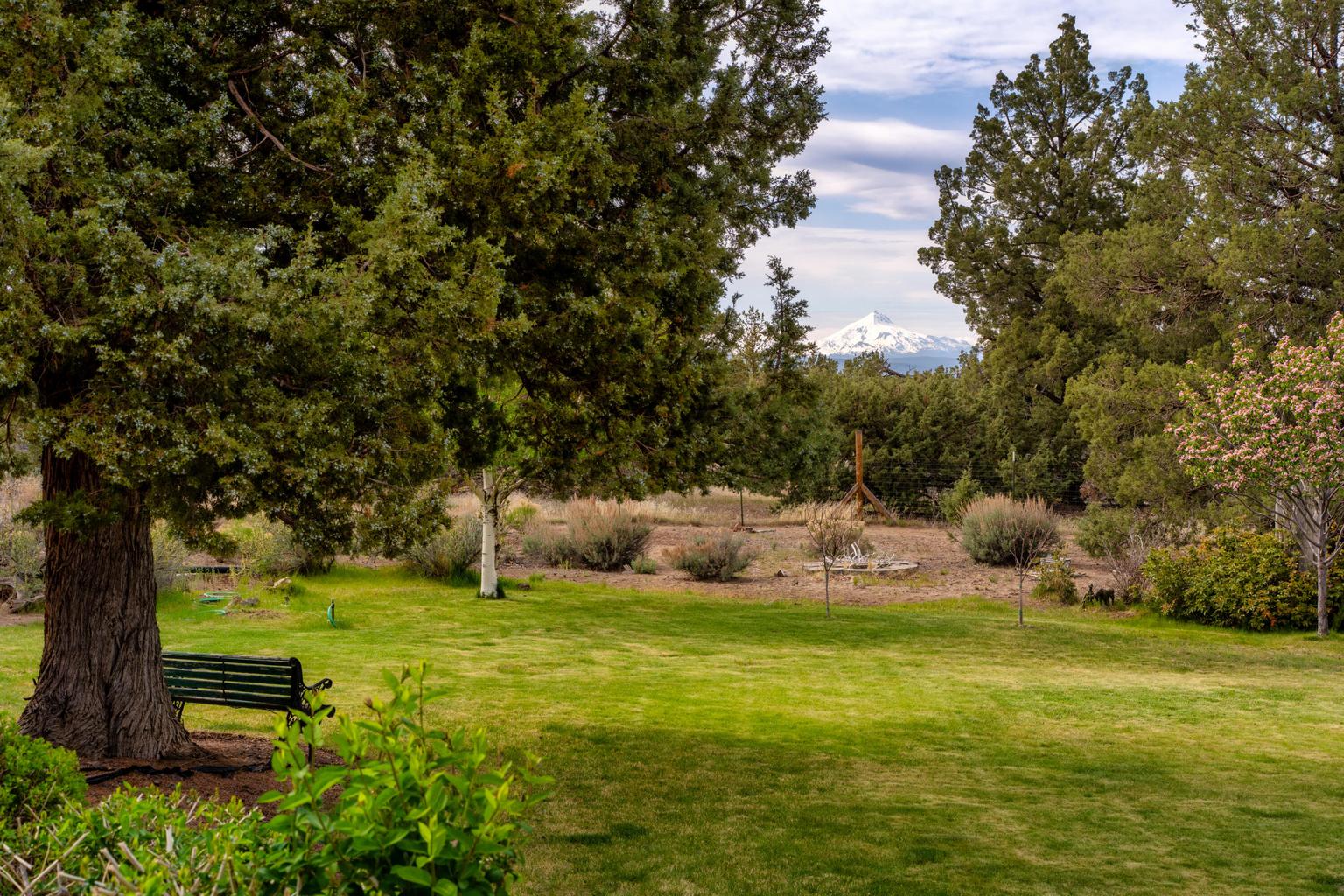 Irrigated back lawn.