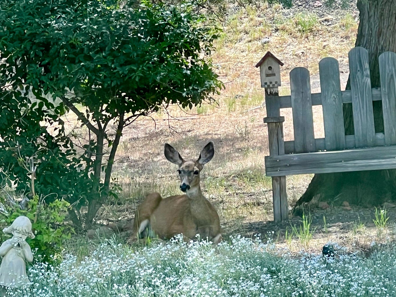 frequent visitors