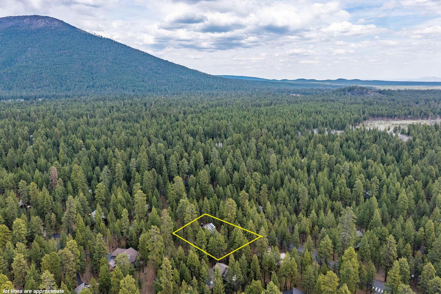 Photo of 70667 Ponderosa 45 of 49