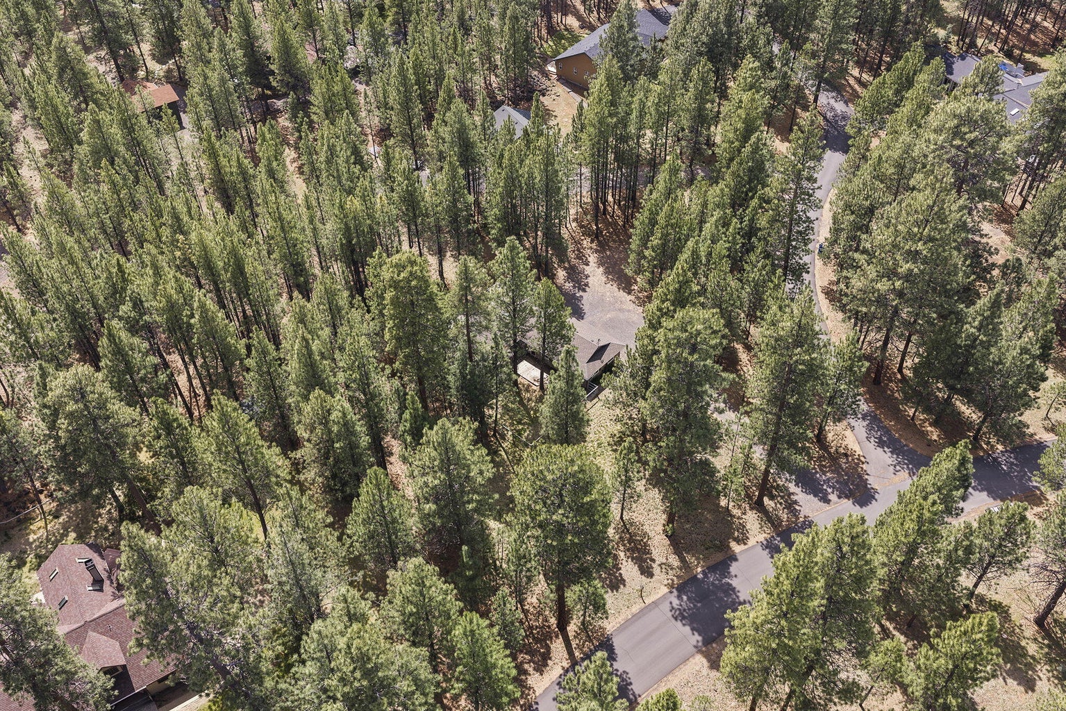 Photo of 14485 Mountain View Loop 43 of 44