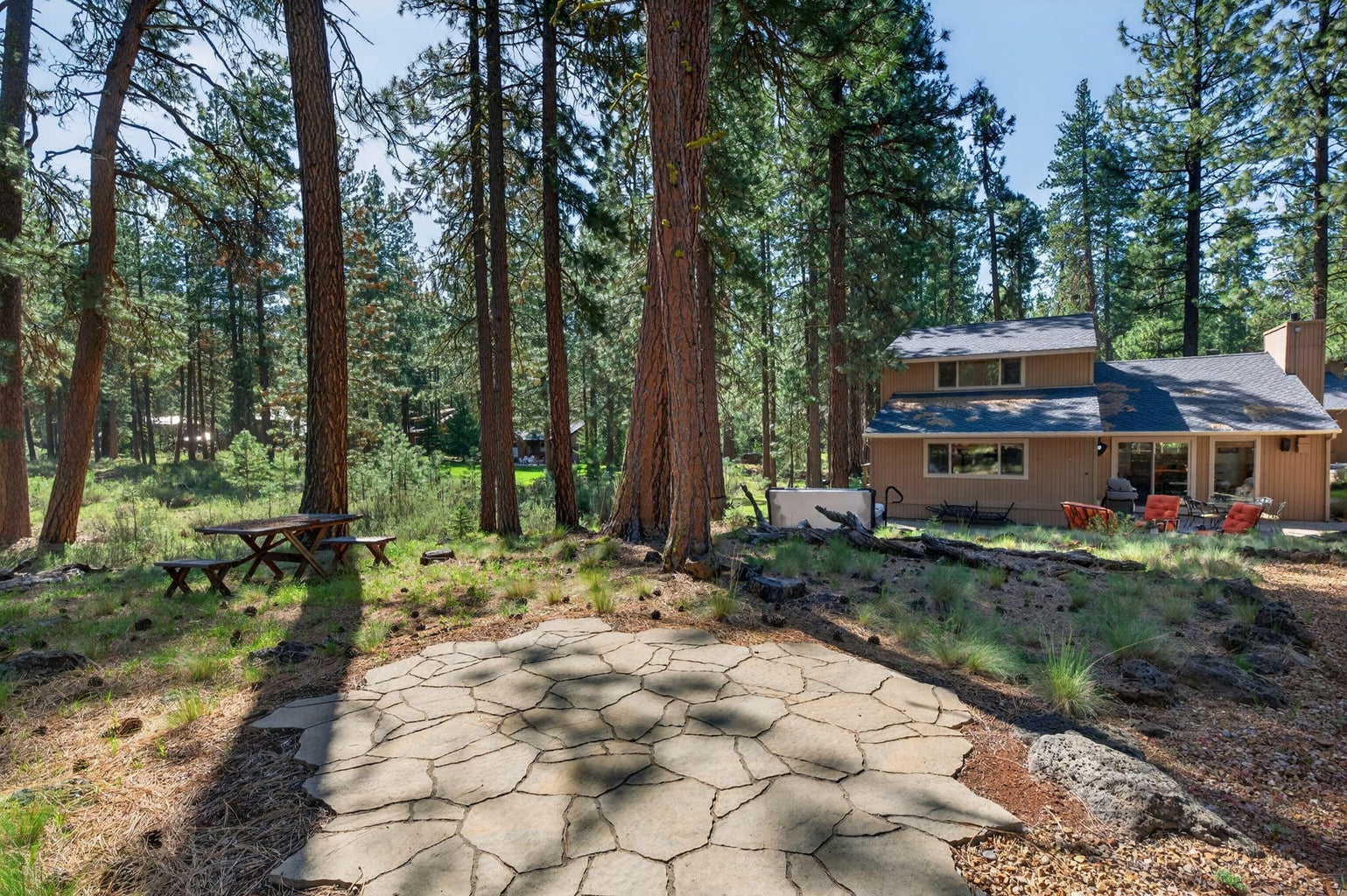 Natural Stone Patio and Forest Scenery