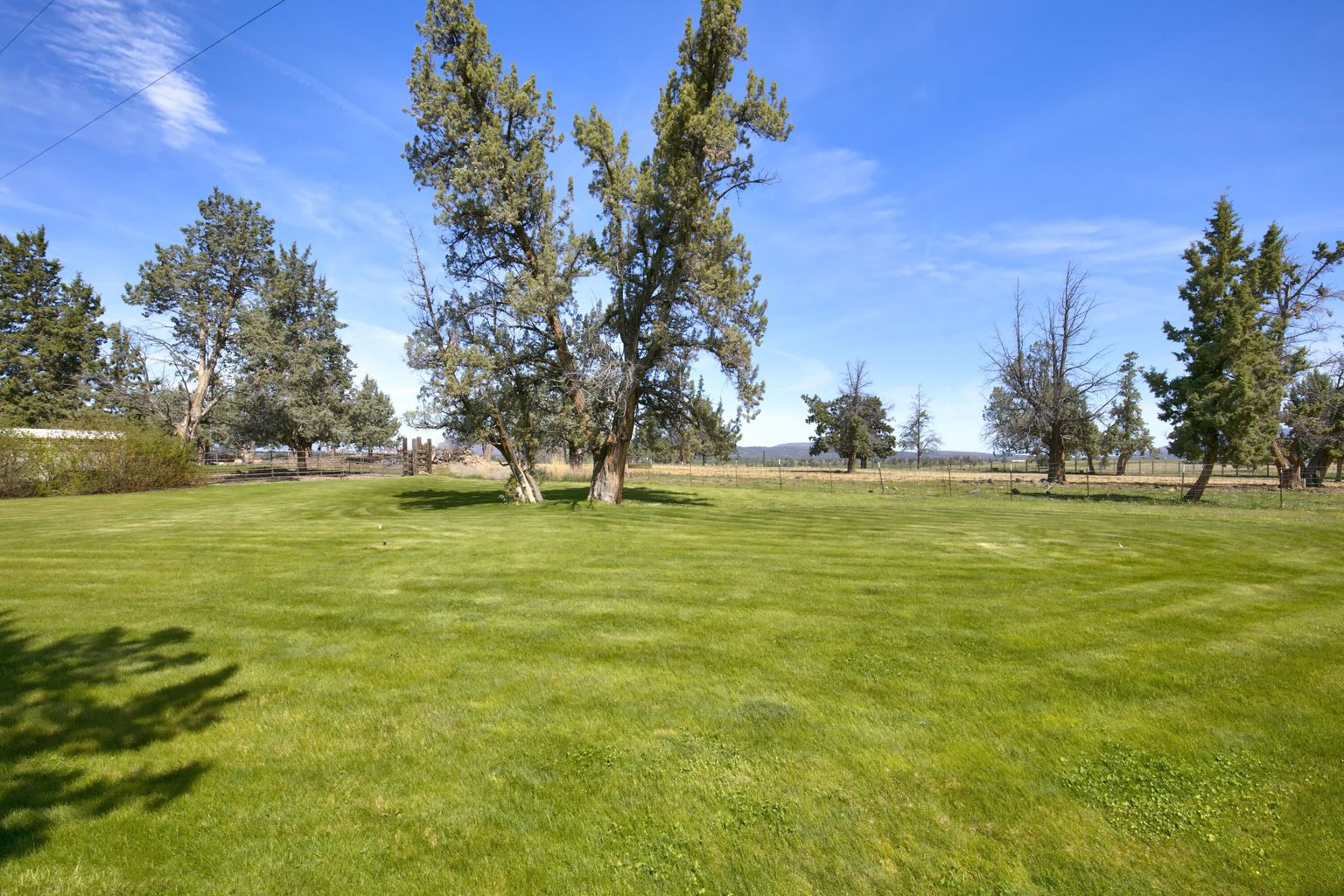 Photo of 12913 S W Lark Meadow Lane 20 of 35