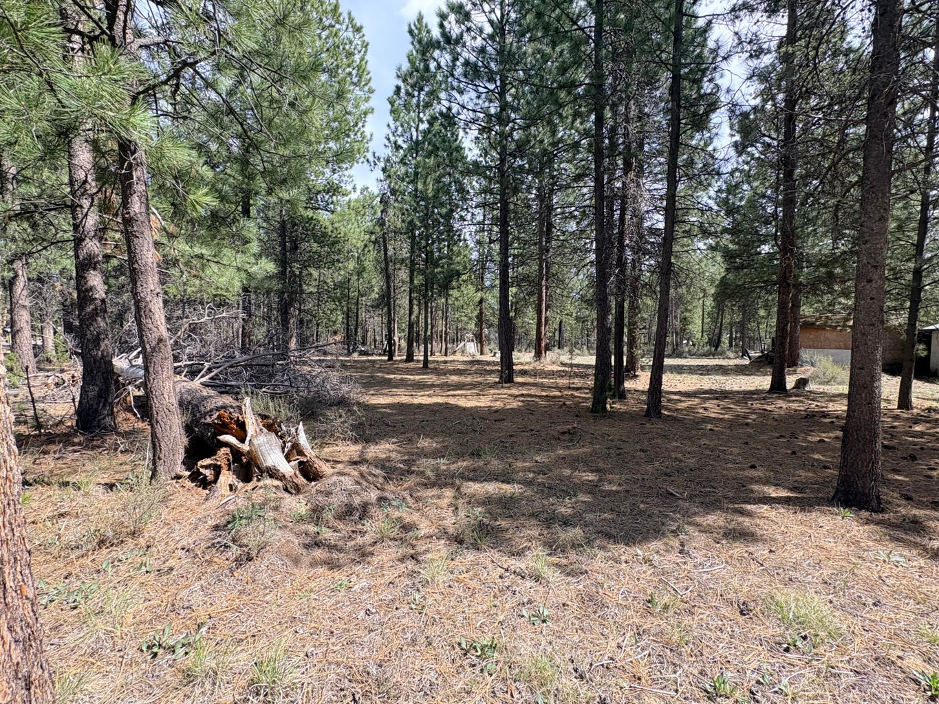 Photo of 1548 Cheryl Drive 5 of 13