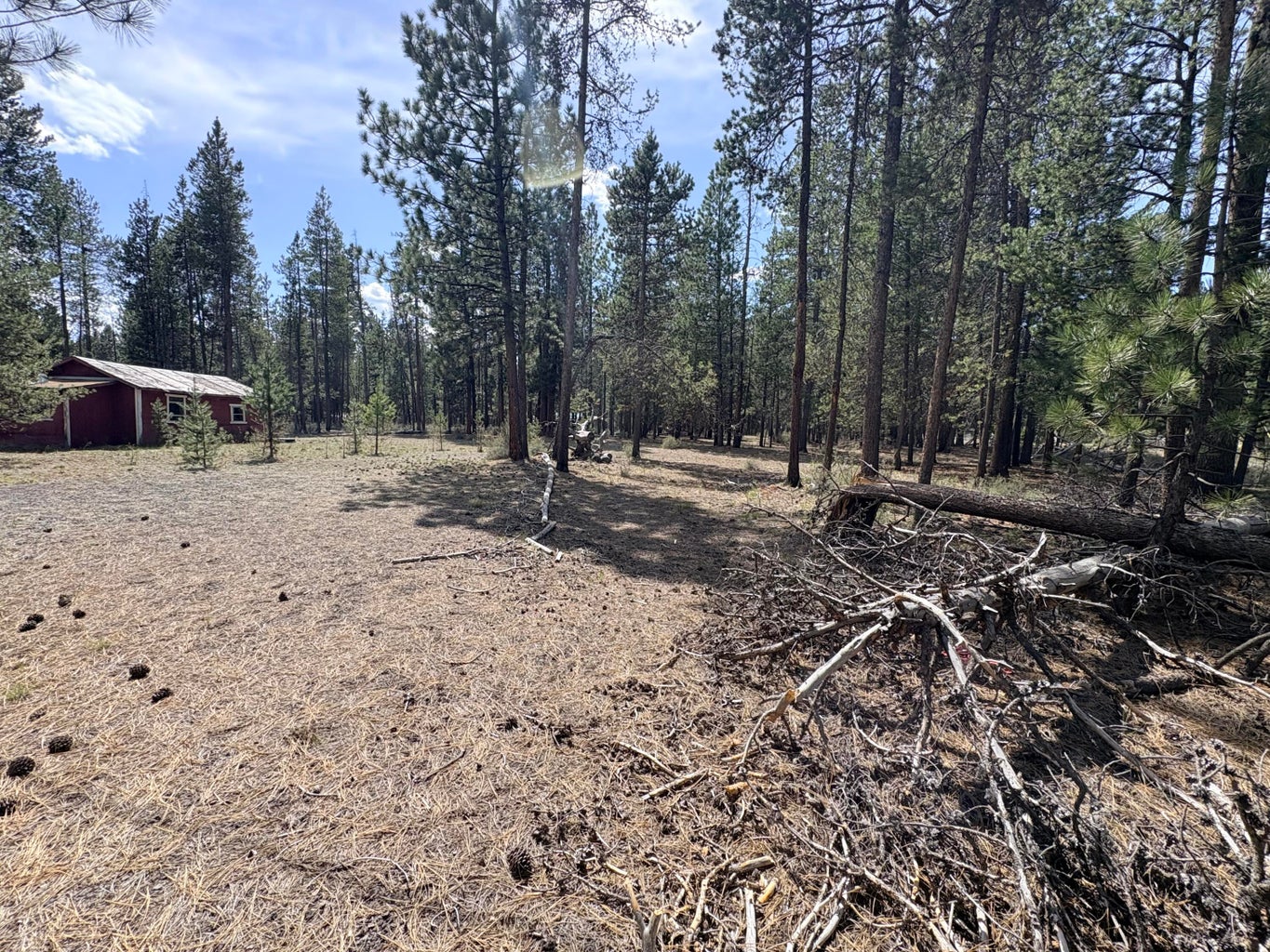 Photo of 1548 Cheryl Drive 7 of 13