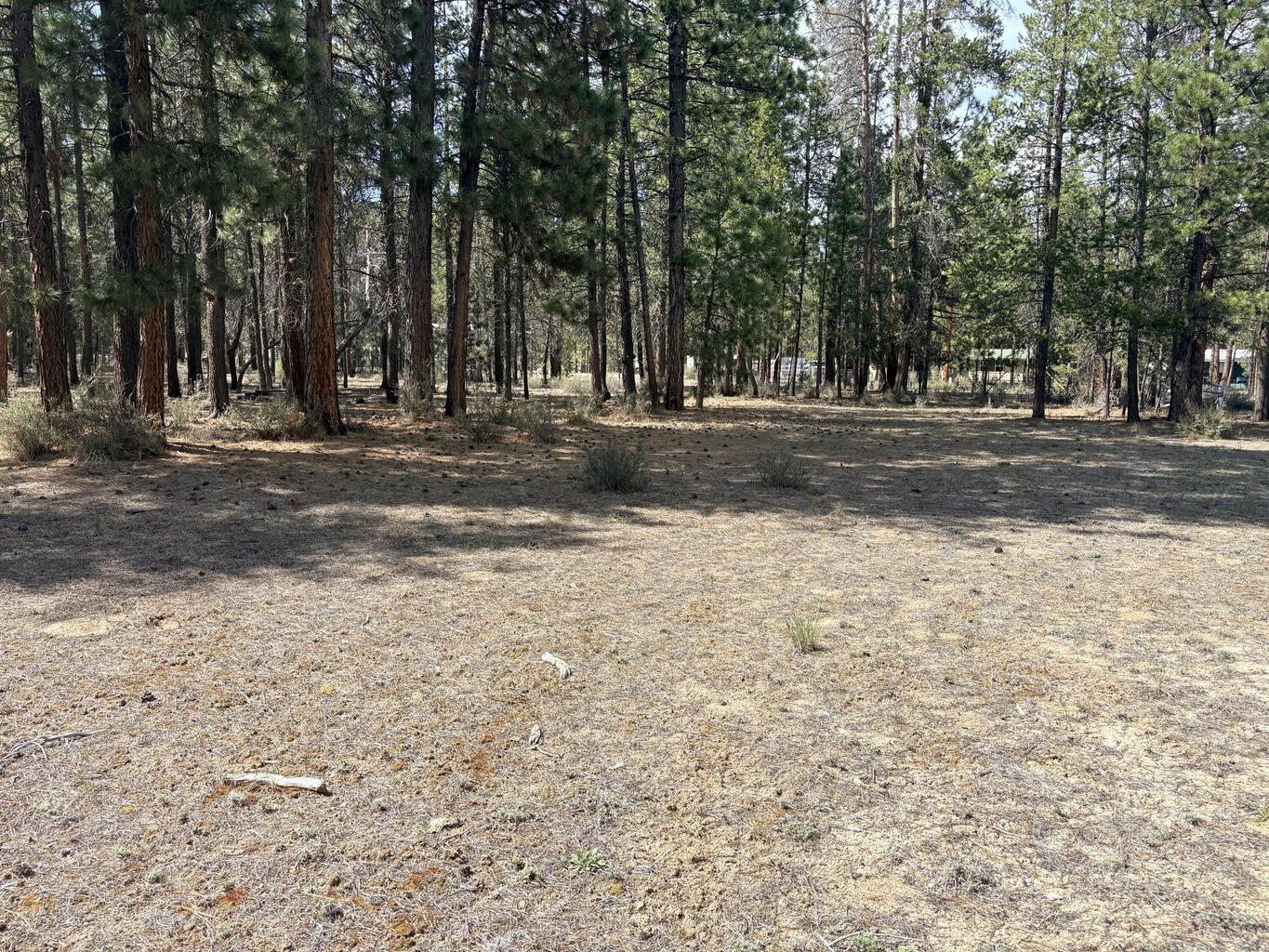 Photo of 1548 Cheryl Drive 2 of 13