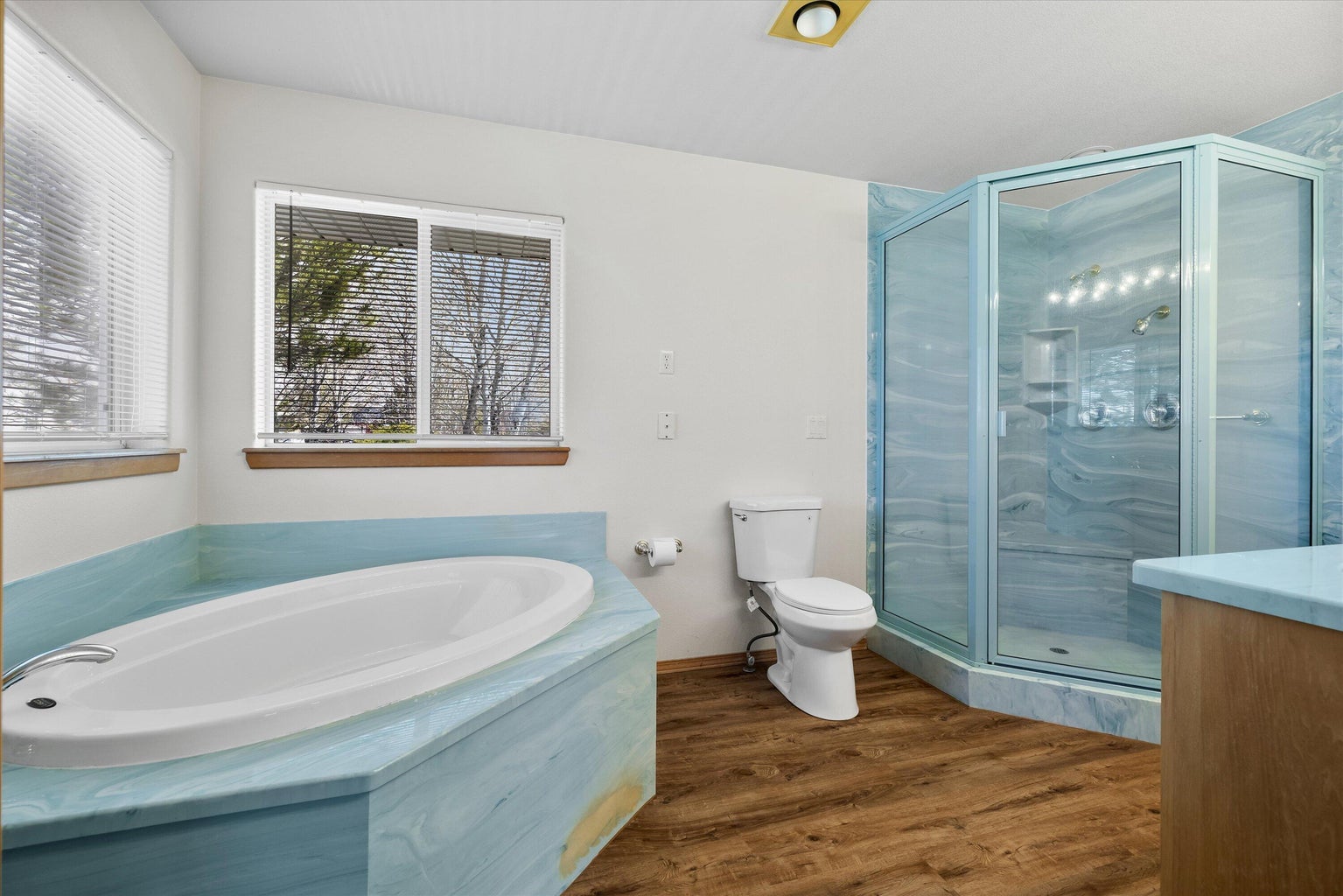 Primary bath with shower and soaking tub