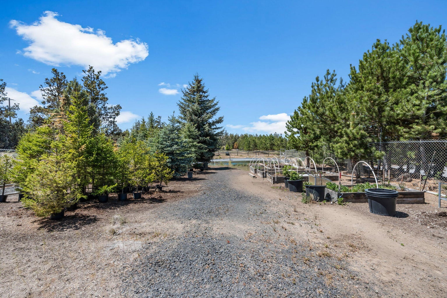 Photo of 64080 Highway 20 40 of 58