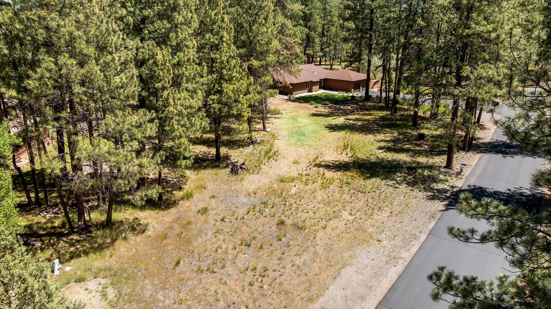 View toward natural area of lot and home