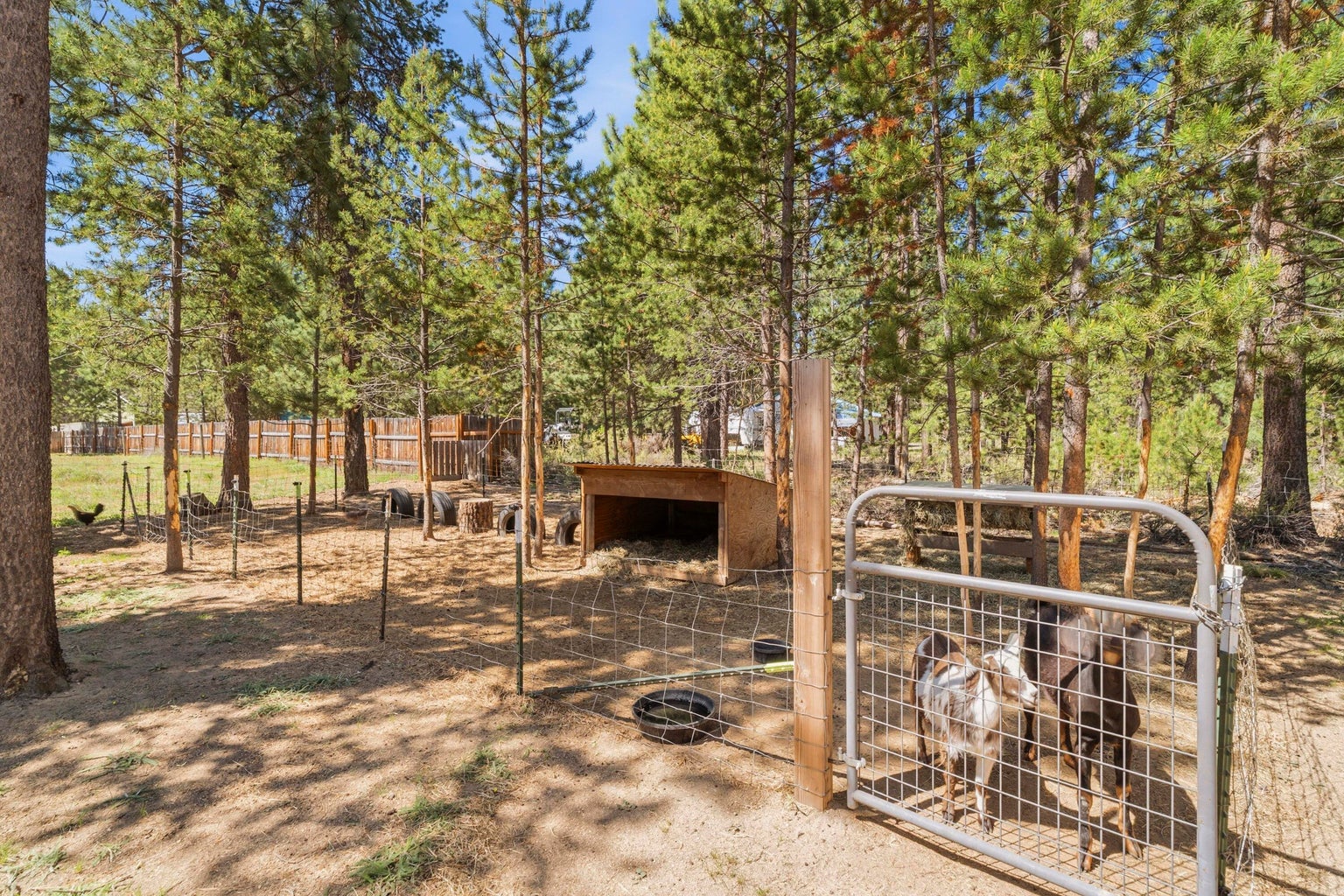 Photo of 149112 Auderine Circle 40 of 53