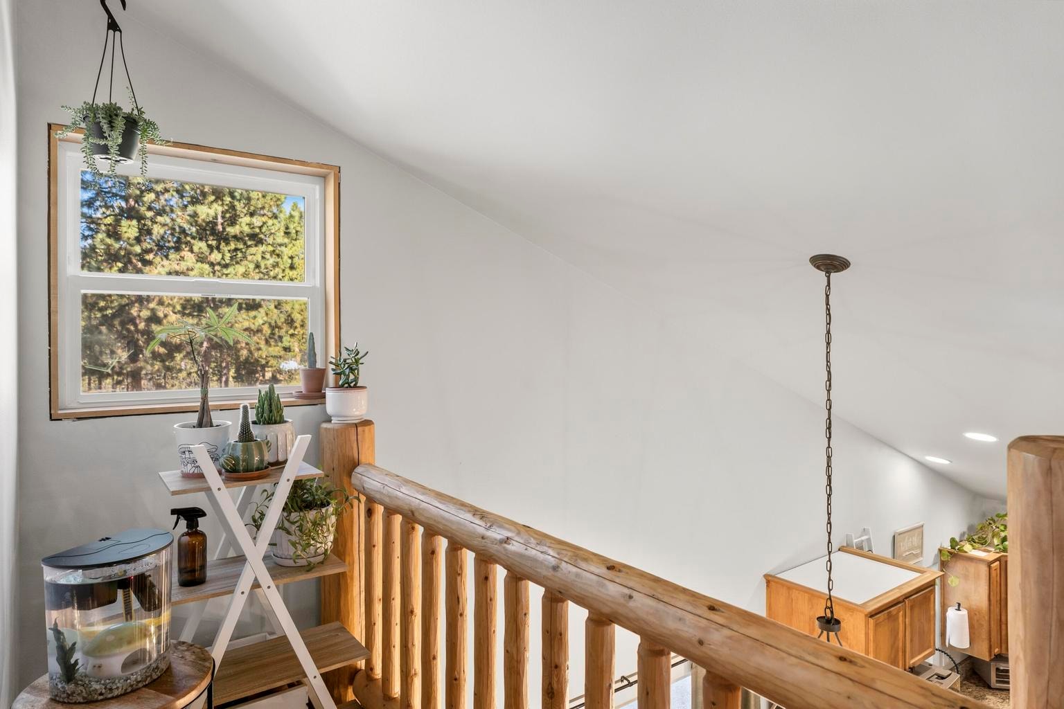 Photo of 149112 Auderine Circle 18 of 53