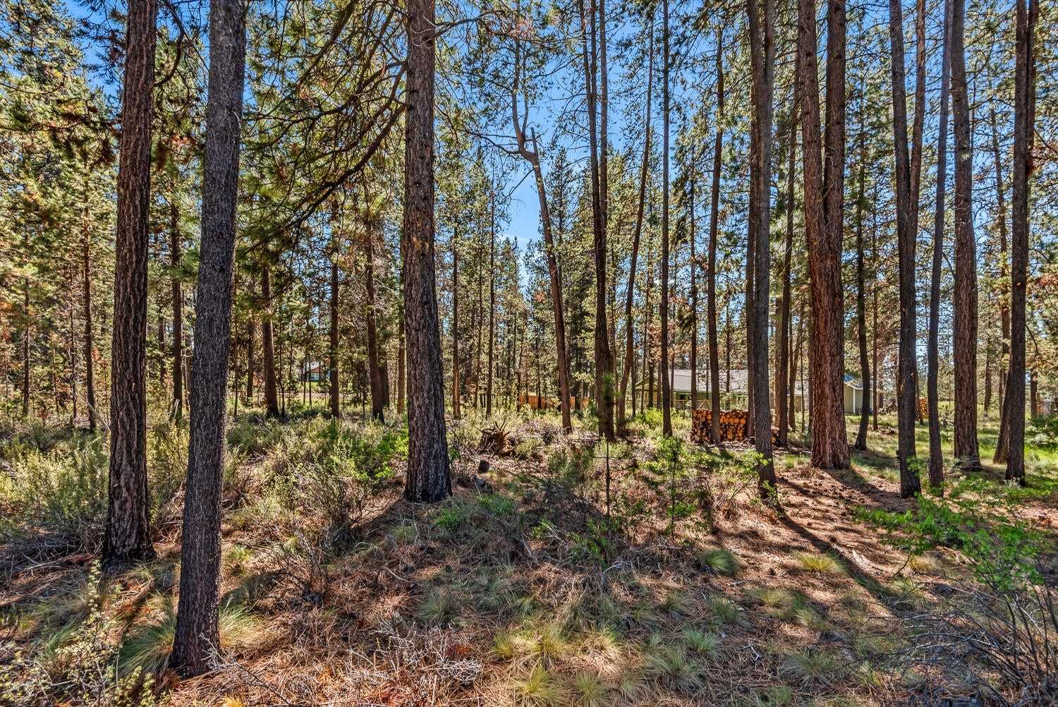 Photo of 53730 Otter Drive 19 of 27