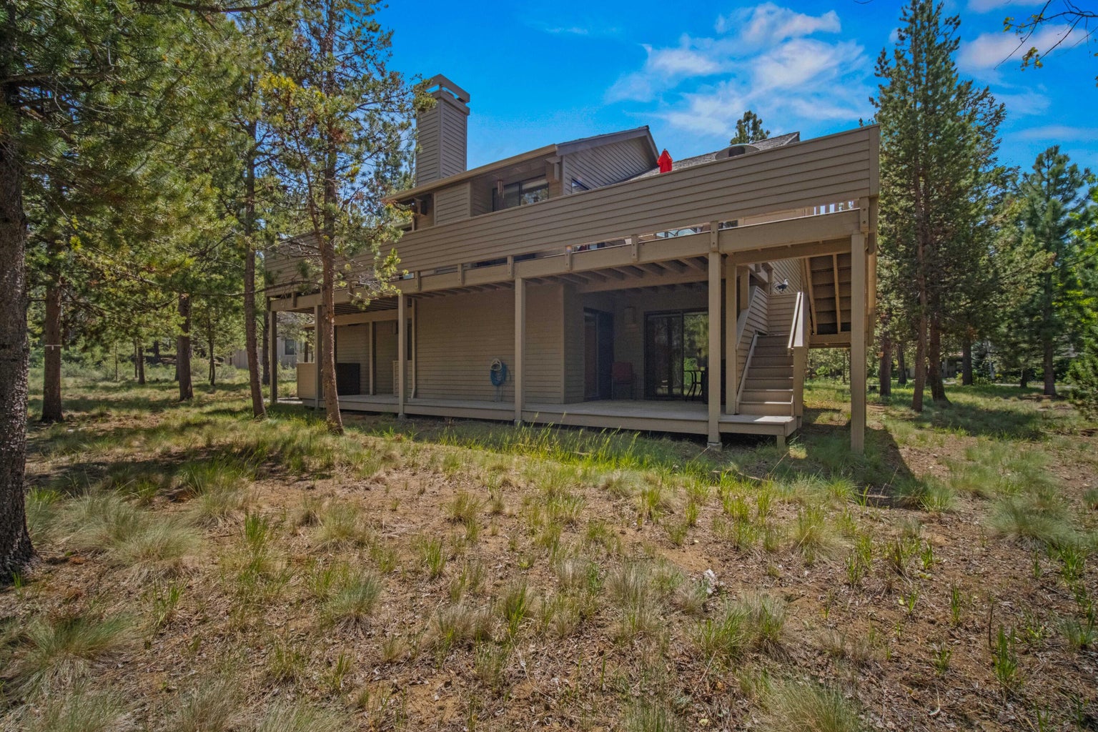 Side and rear view with mature pines, natural grasses, and quiet neighborhood surroundings.