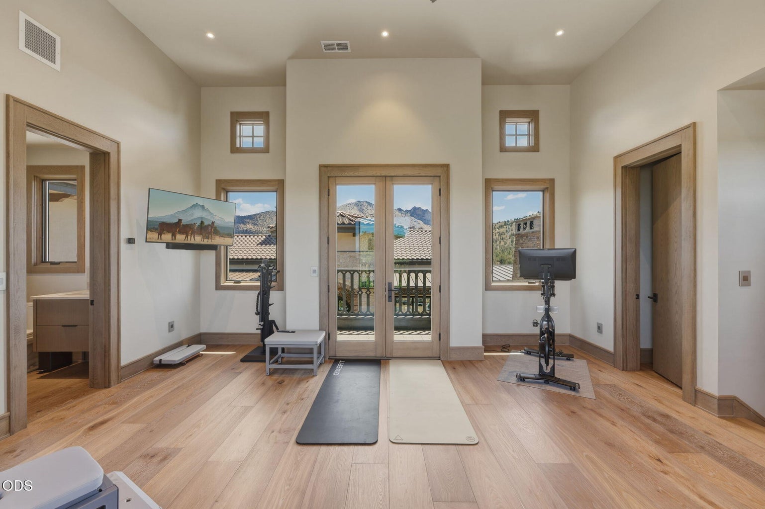 Full gym space w/ French doors to balcony and mountain views