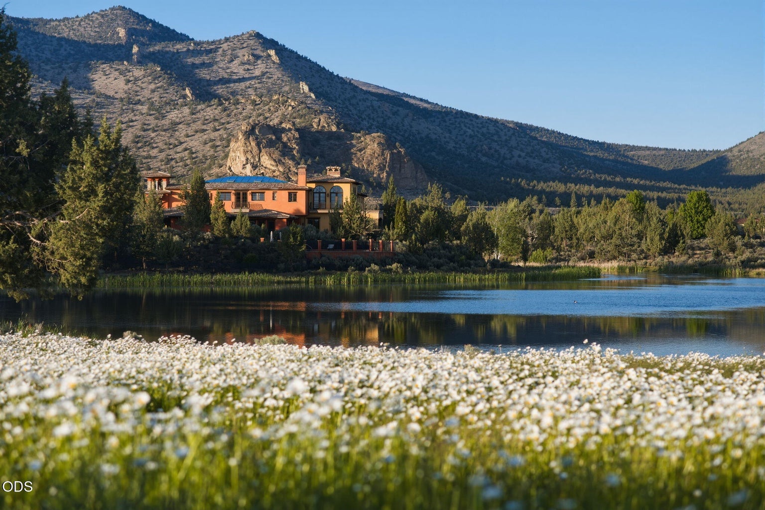 Ranch at the Canyons community, wildflowers surrounding pond