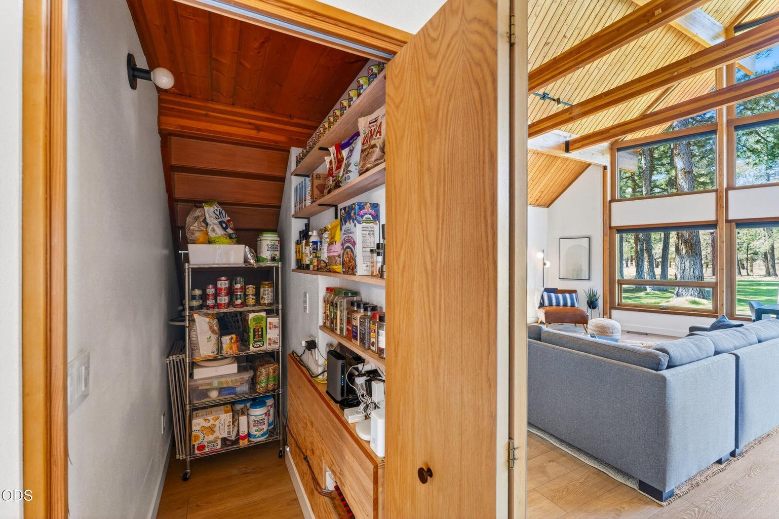 Pantry under the stairs