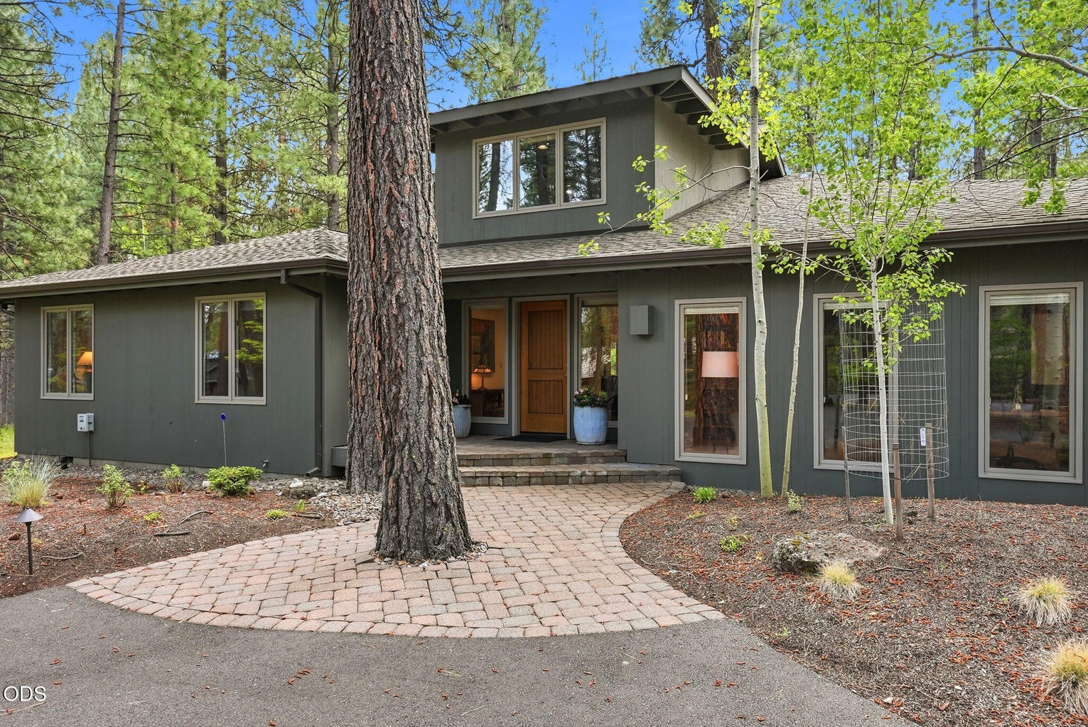 Photo of 70305 Arvensis 54 of 57
