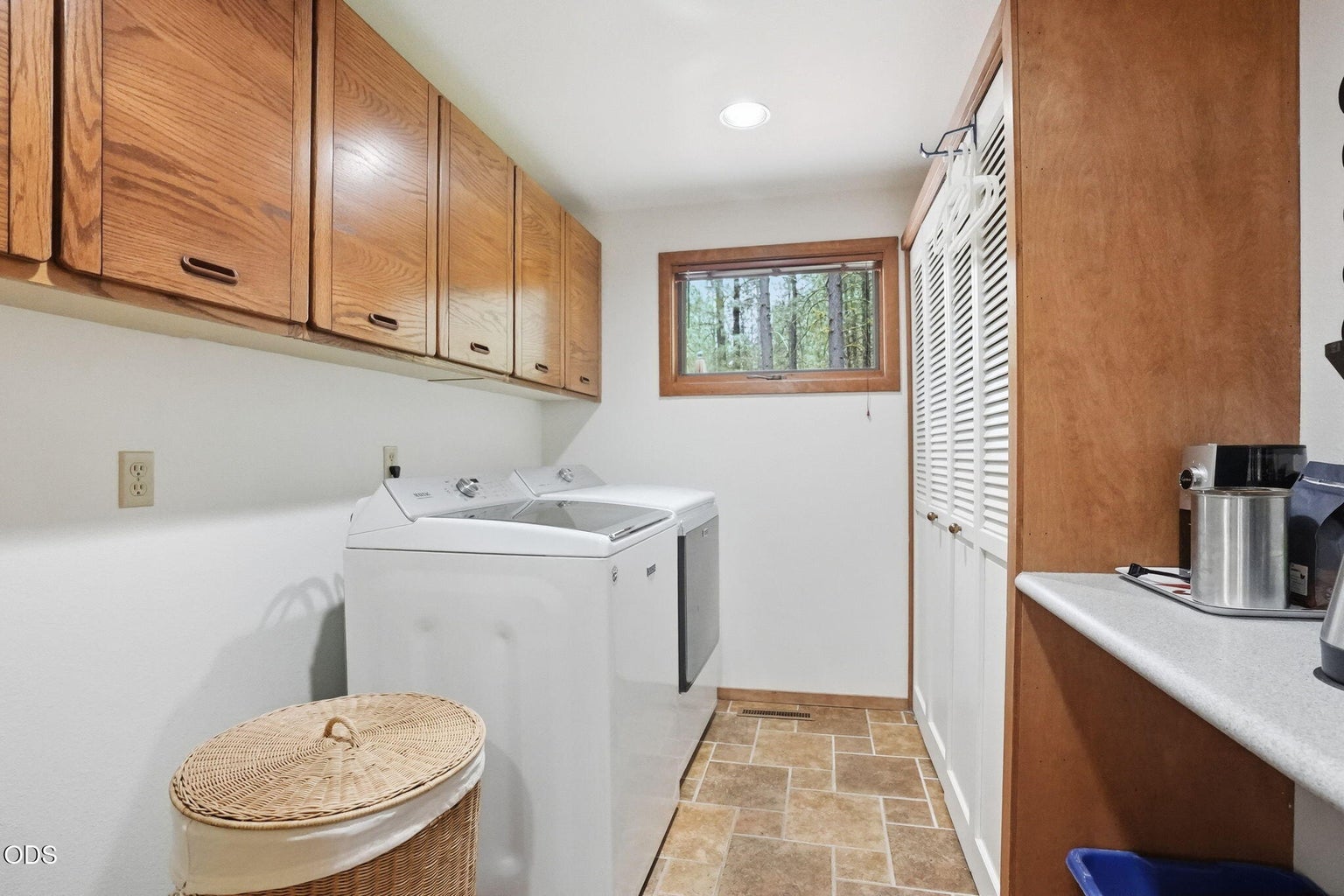 Photo of 70305 Arvensis 40 of 57