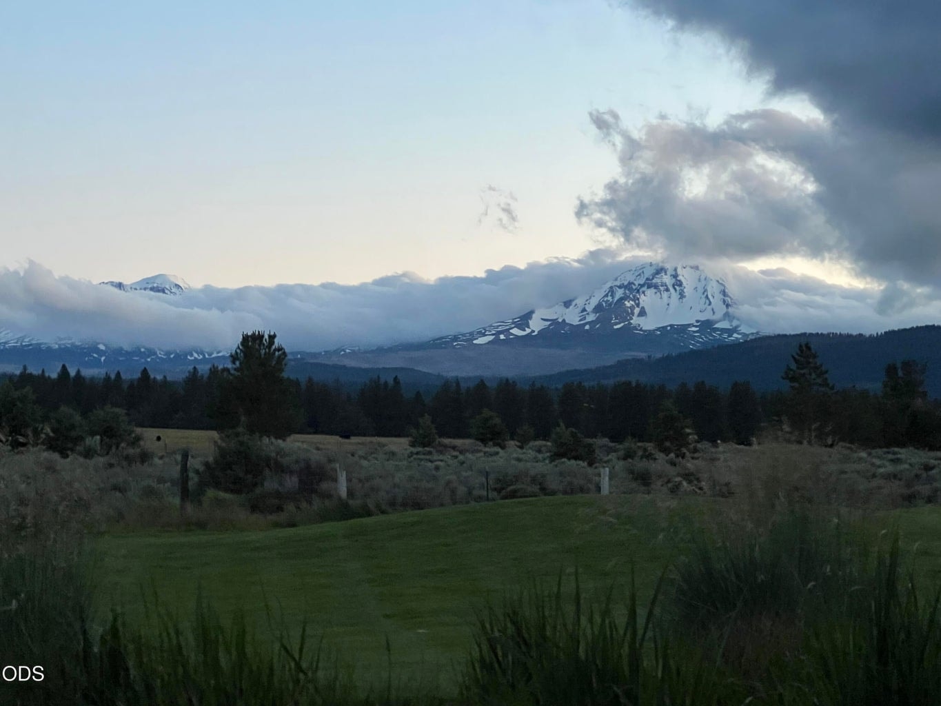 From the back porch!