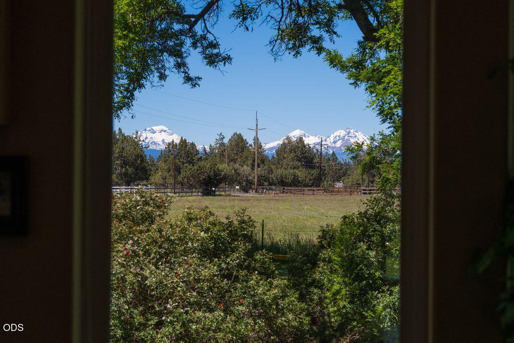 This is the view from living room window
