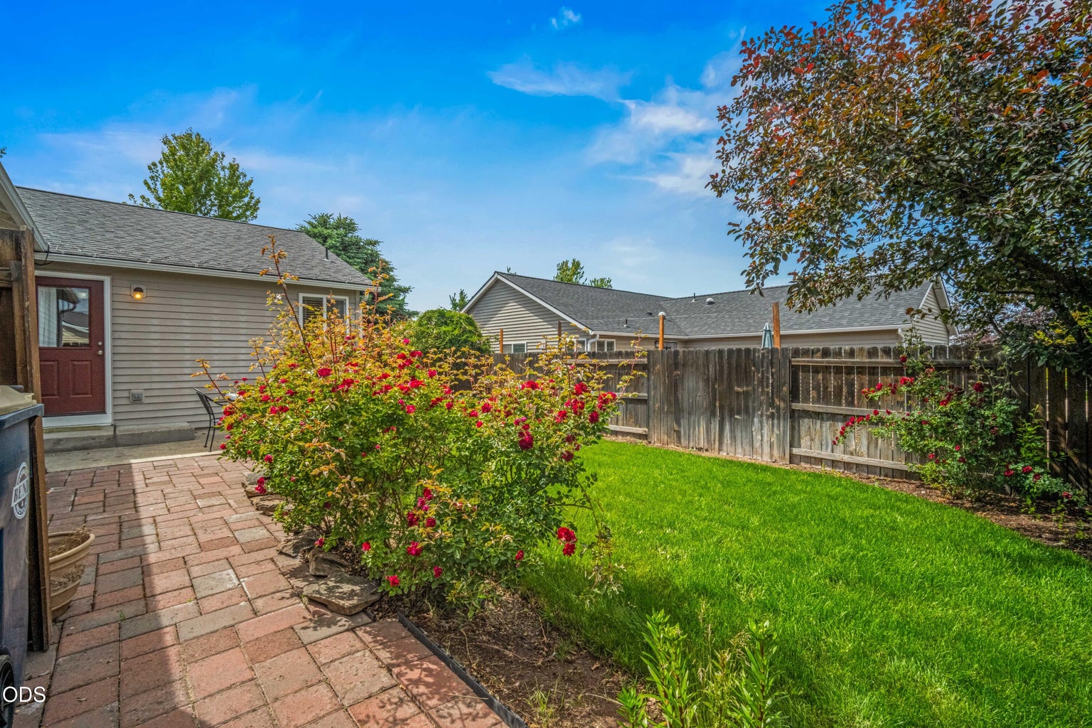 The fenced backyard offers green lawn, established roses, and a private outdoor space for relaxing, gardening, or entertaining.