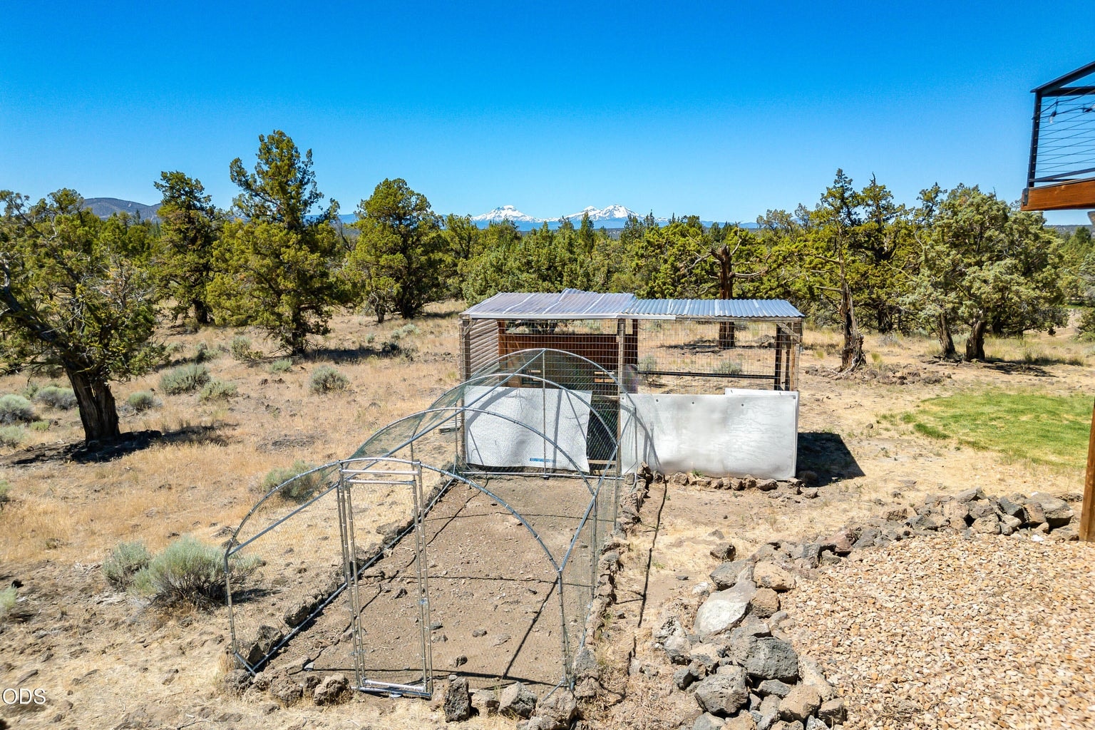 Chicken Coop with covered area to protect them from those Raptors!
