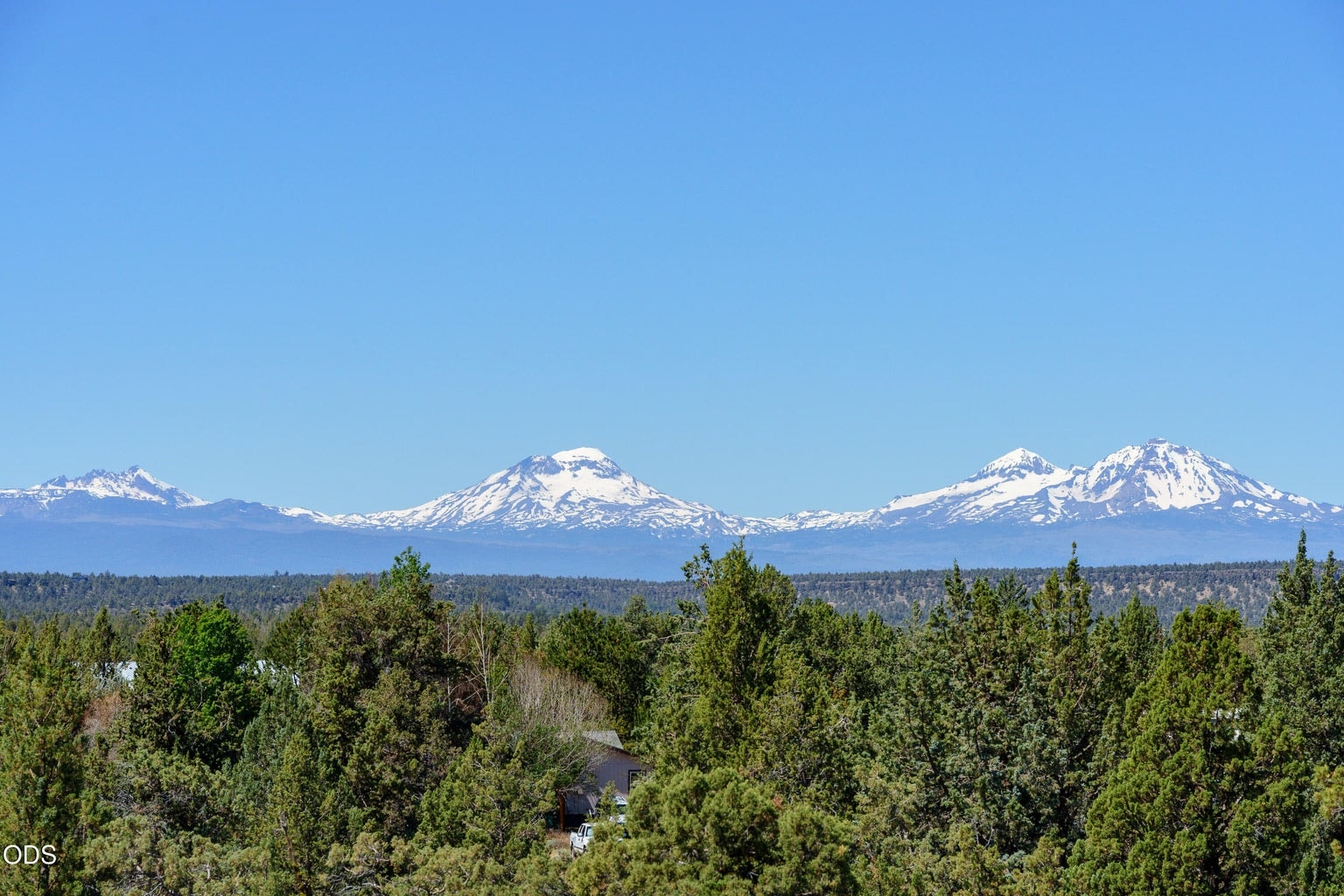 Views, views, views!