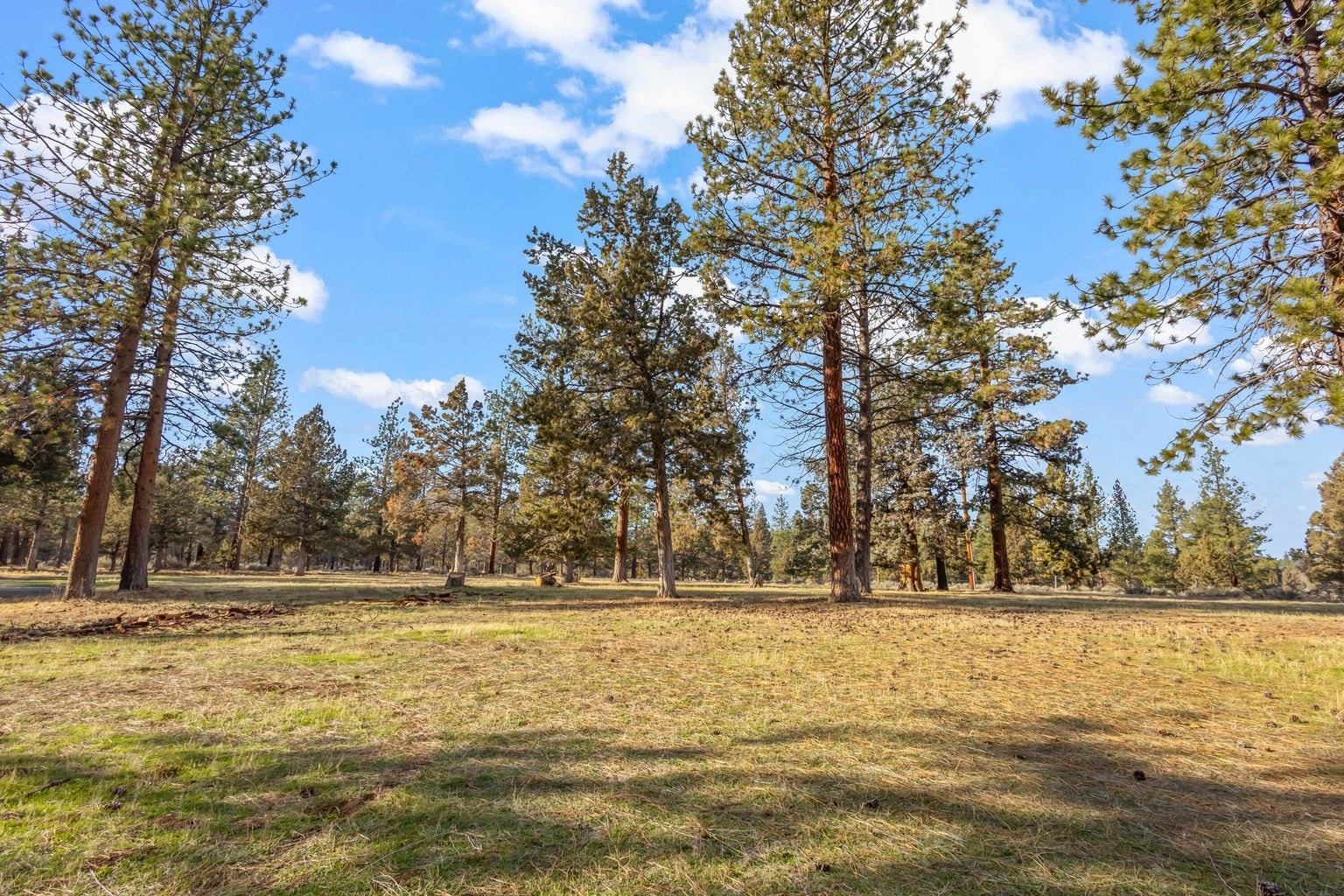 Photo of 16430 Highway 126 47 of 58